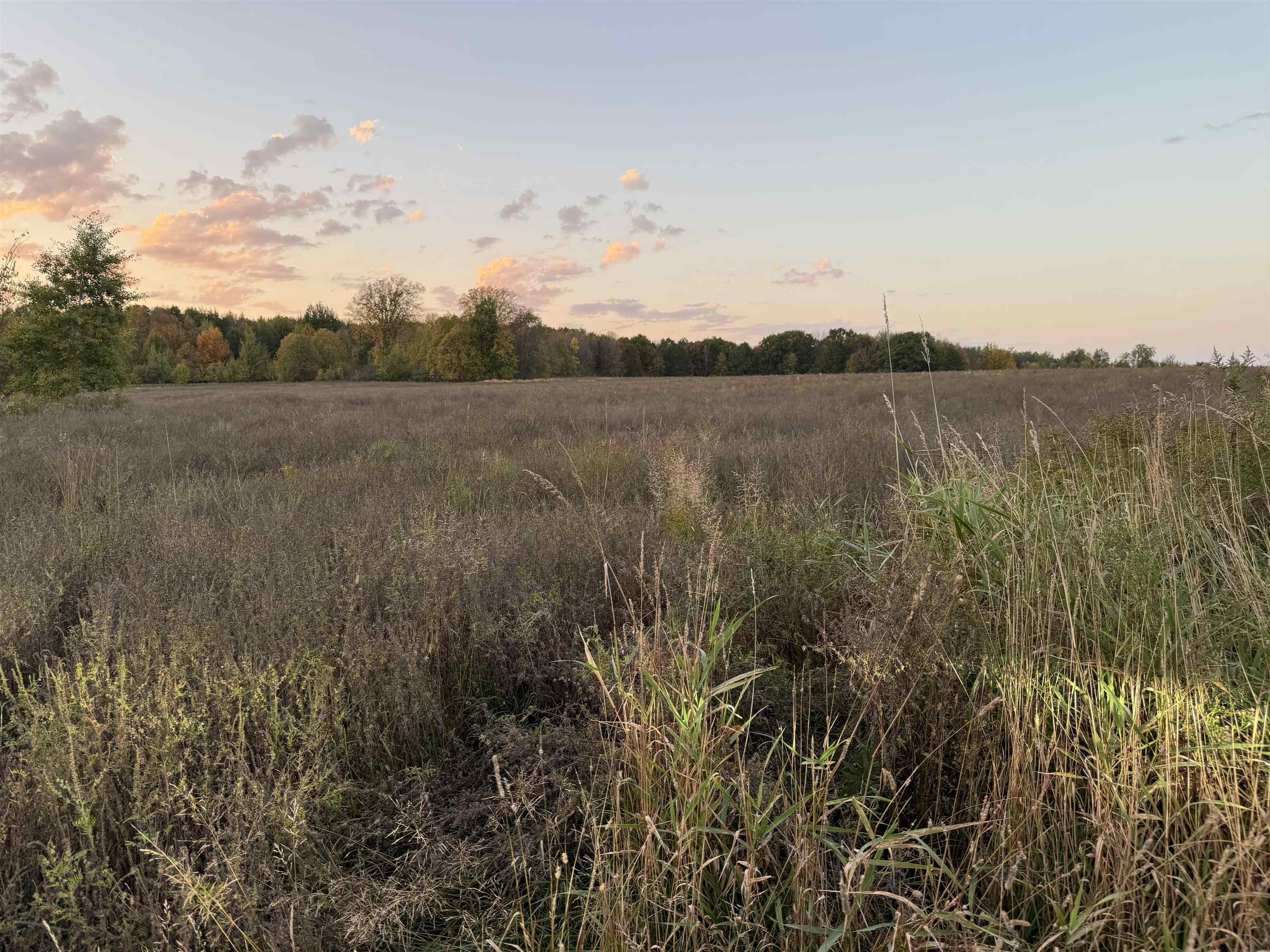 Lot 3 EAU CLAIRE RIVER ROAD, Aniwa, Wisconsin 54408, ,Land,For Sale,Lot 3 EAU CLAIRE RIVER ROAD,22504773