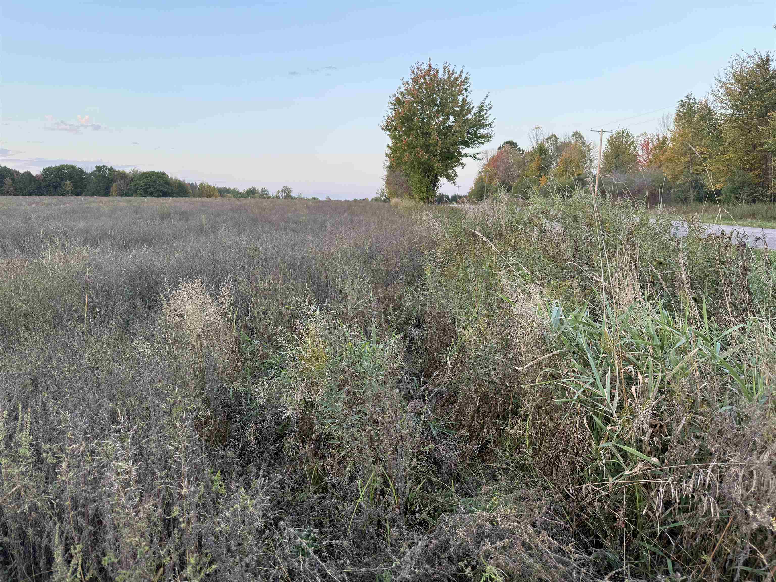 Lot 3 EAU CLAIRE RIVER ROAD, Aniwa, Wisconsin 54408, ,Land,For Sale,Lot 3 EAU CLAIRE RIVER ROAD,22504773