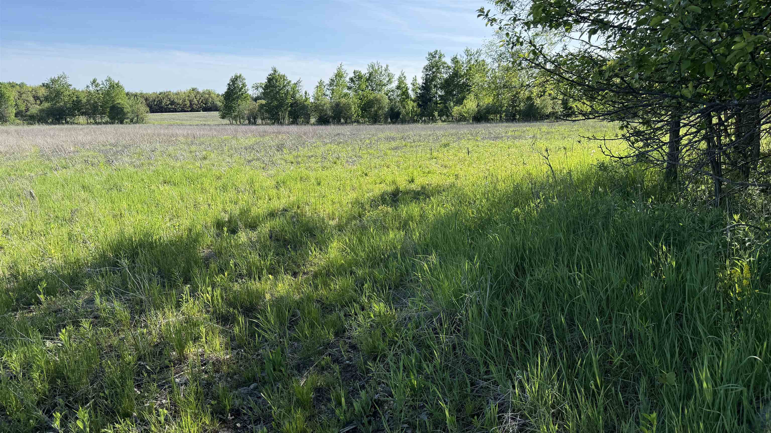Lot 3 EAU CLAIRE RIVER ROAD, Aniwa, Wisconsin 54408, ,Land,For Sale,Lot 3 EAU CLAIRE RIVER ROAD,22504773