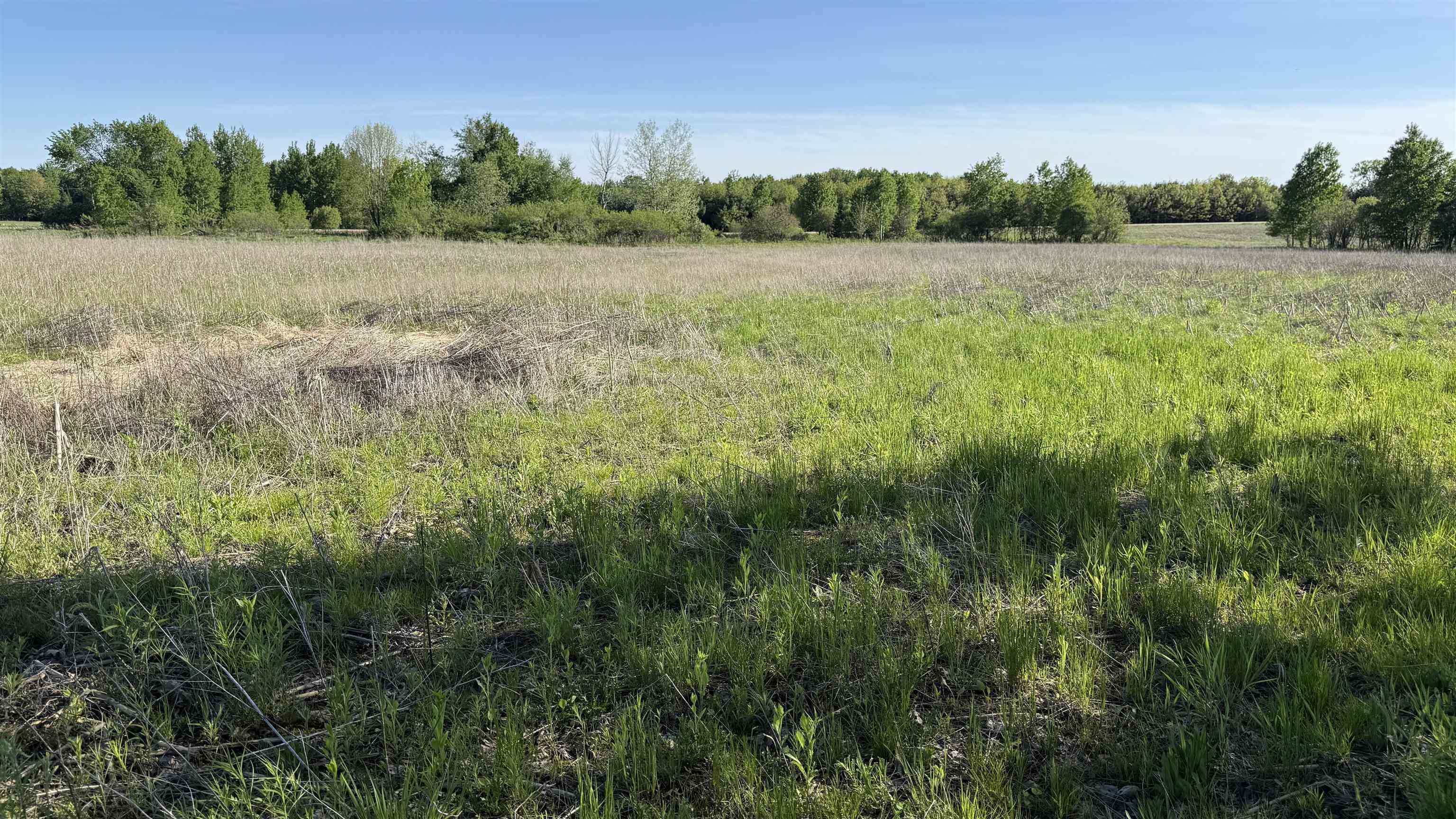 Lot 3 EAU CLAIRE RIVER ROAD, Aniwa, Wisconsin 54408, ,Land,For Sale,Lot 3 EAU CLAIRE RIVER ROAD,22504773