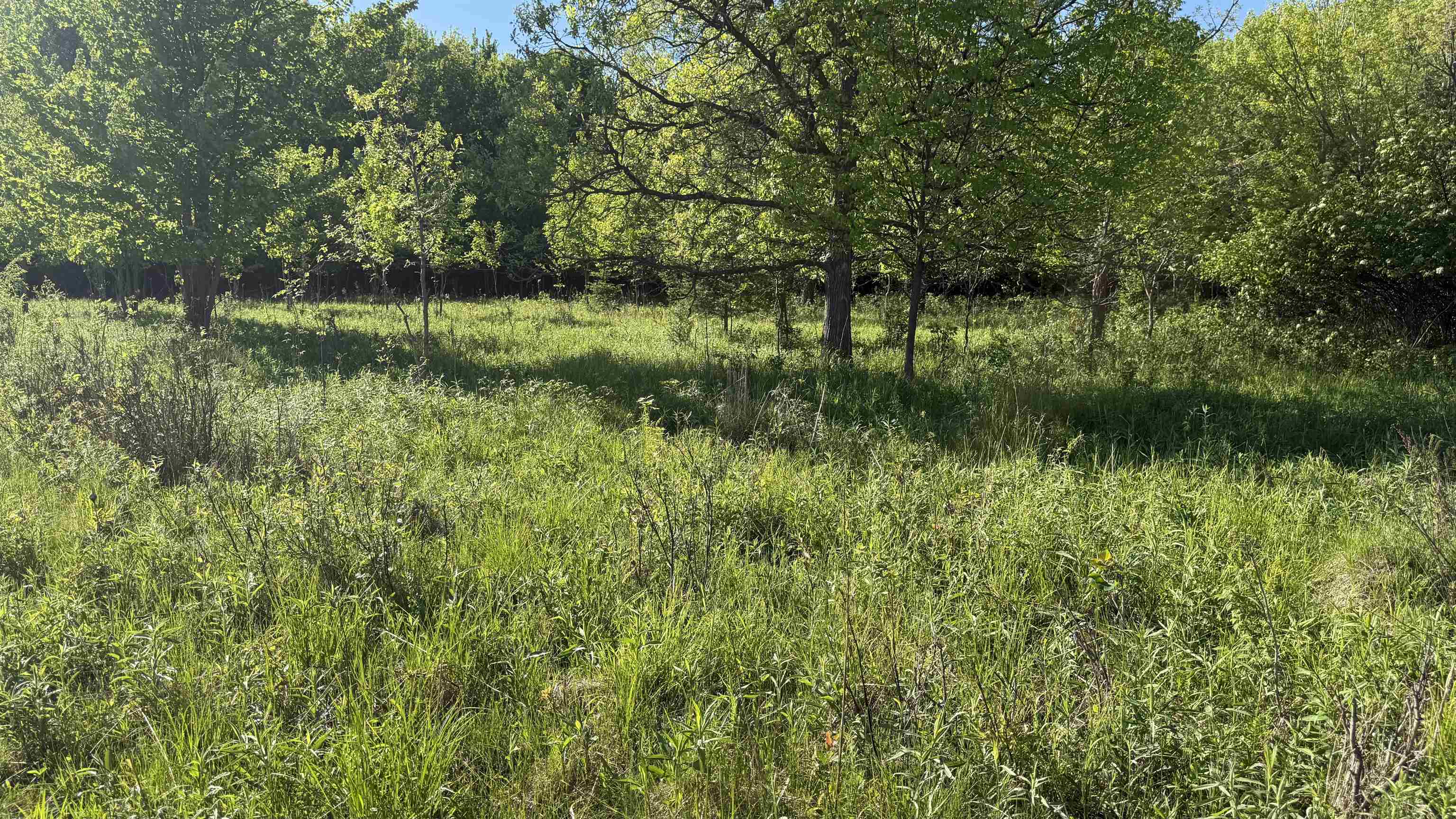 Lot 3 EAU CLAIRE RIVER ROAD, Aniwa, Wisconsin 54408, ,Land,For Sale,Lot 3 EAU CLAIRE RIVER ROAD,22504773