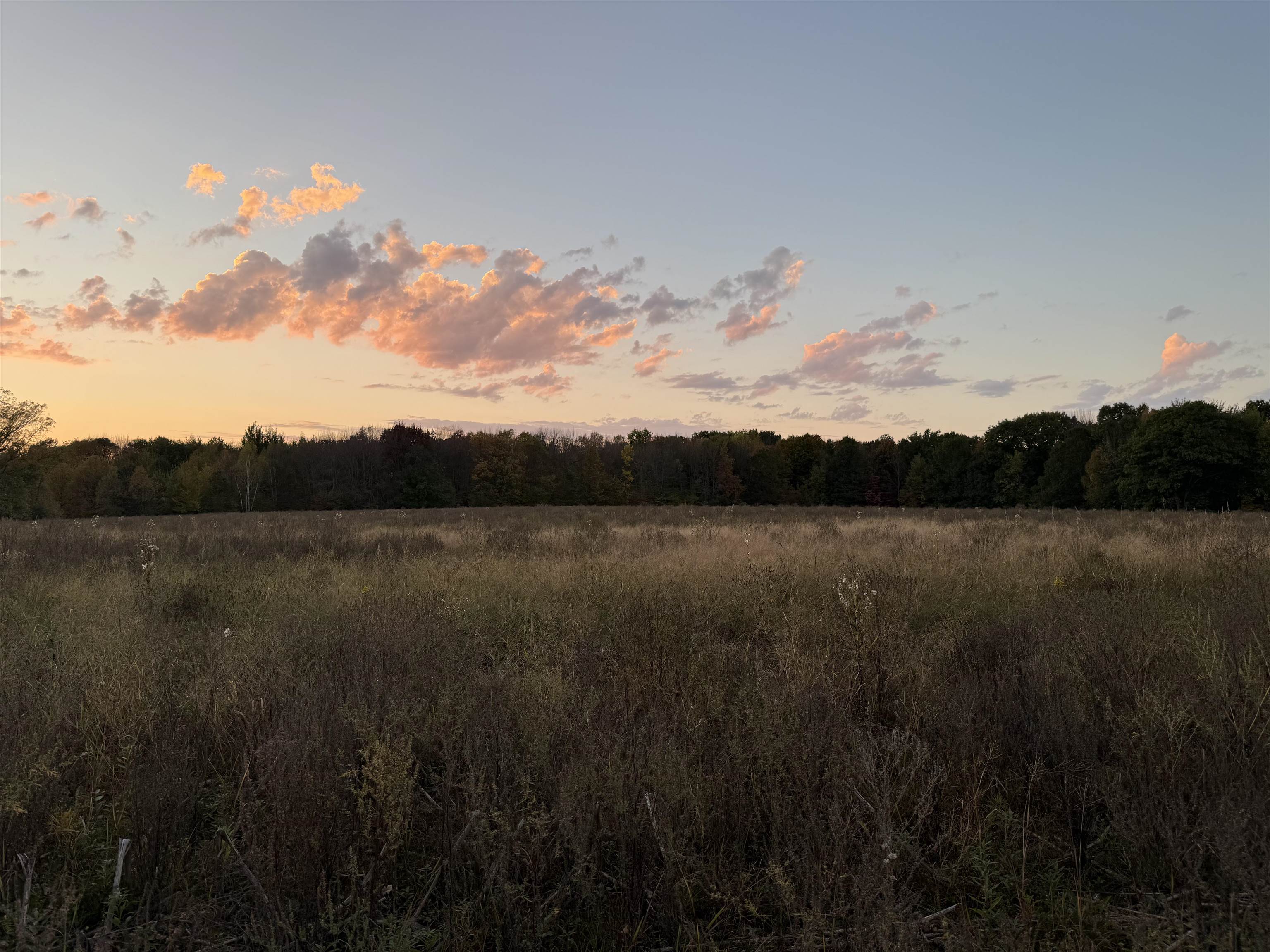Lot 3 EAU CLAIRE RIVER ROAD, Aniwa, Wisconsin 54408, ,Land,For Sale,Lot 3 EAU CLAIRE RIVER ROAD,22504773