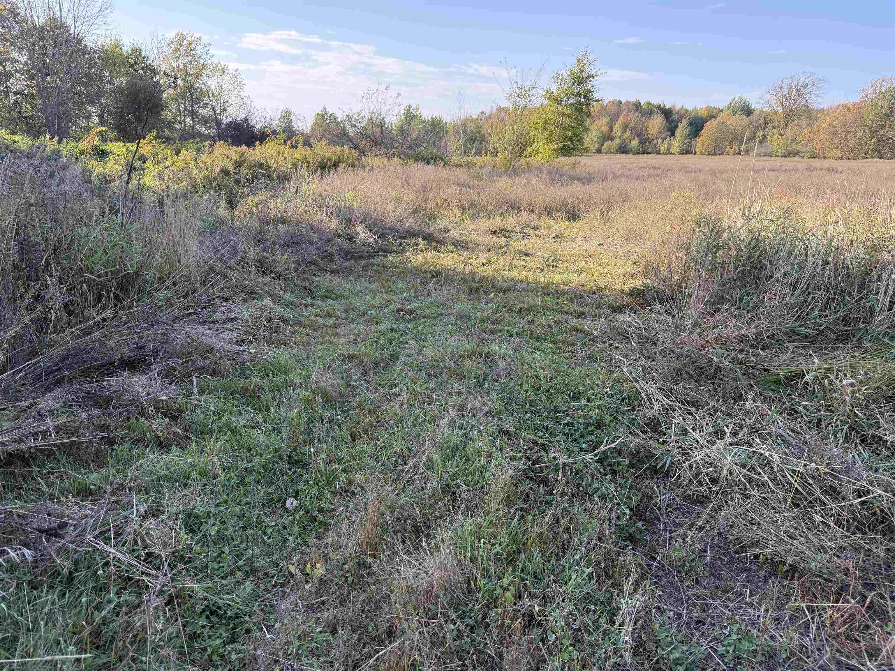 Lot 3 EAU CLAIRE RIVER ROAD, Aniwa, Wisconsin 54408, ,Land,For Sale,Lot 3 EAU CLAIRE RIVER ROAD,22504773