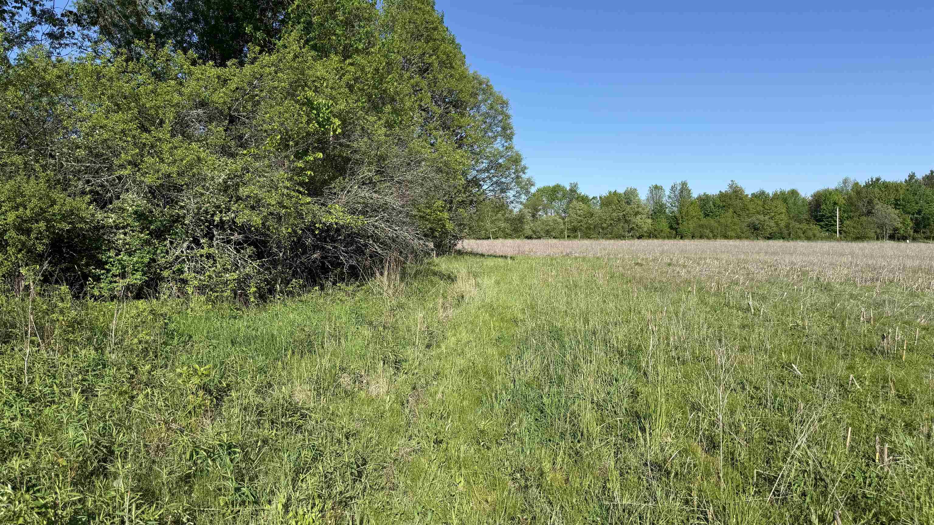 Lot 3 EAU CLAIRE RIVER ROAD, Aniwa, Wisconsin 54408, ,Land,For Sale,Lot 3 EAU CLAIRE RIVER ROAD,22504773