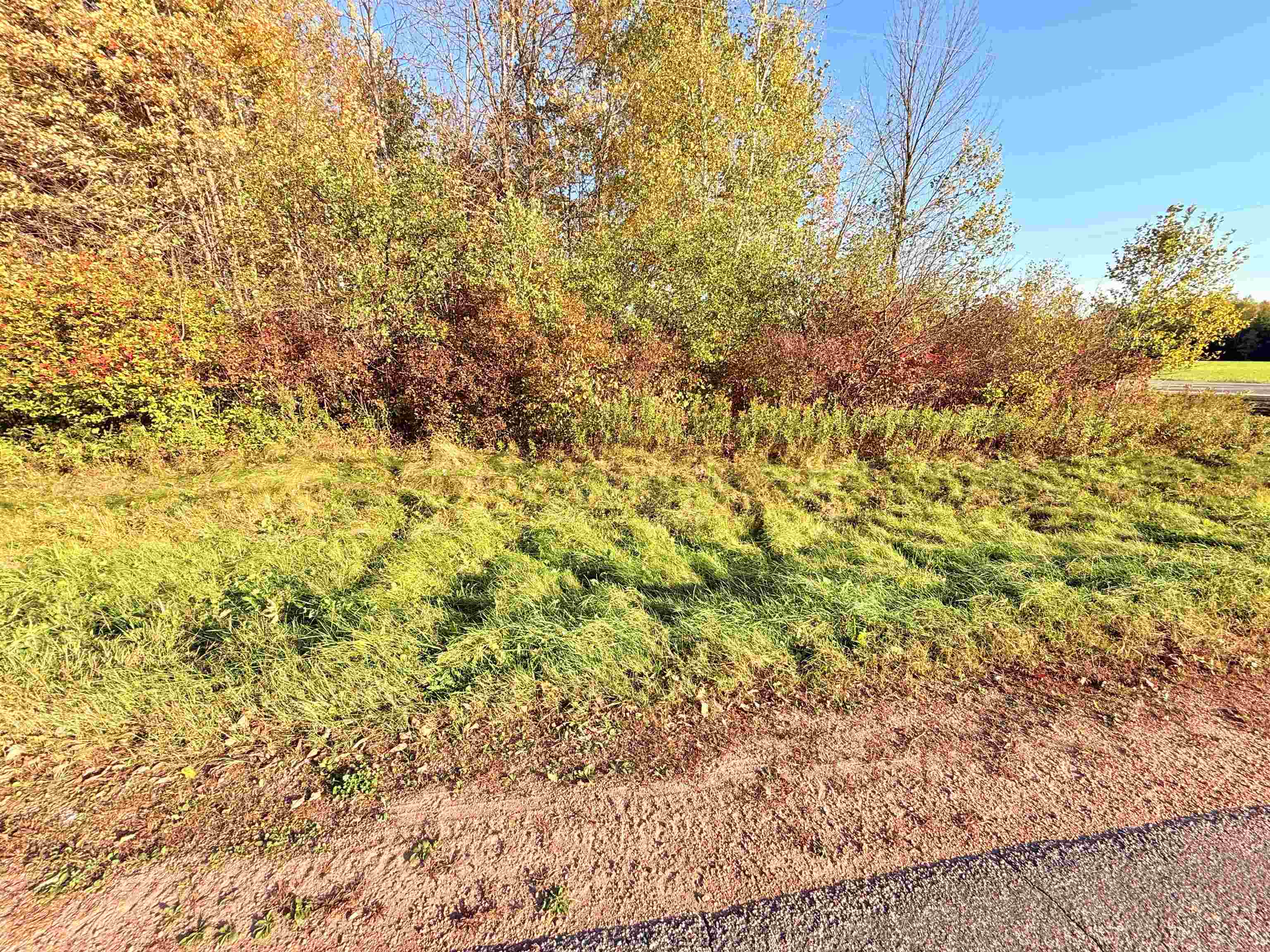 Lot 4 COUNTY ROAD Z, Aniwa, Wisconsin 54408, ,Land,For Sale,Lot 4 COUNTY ROAD Z,22504775