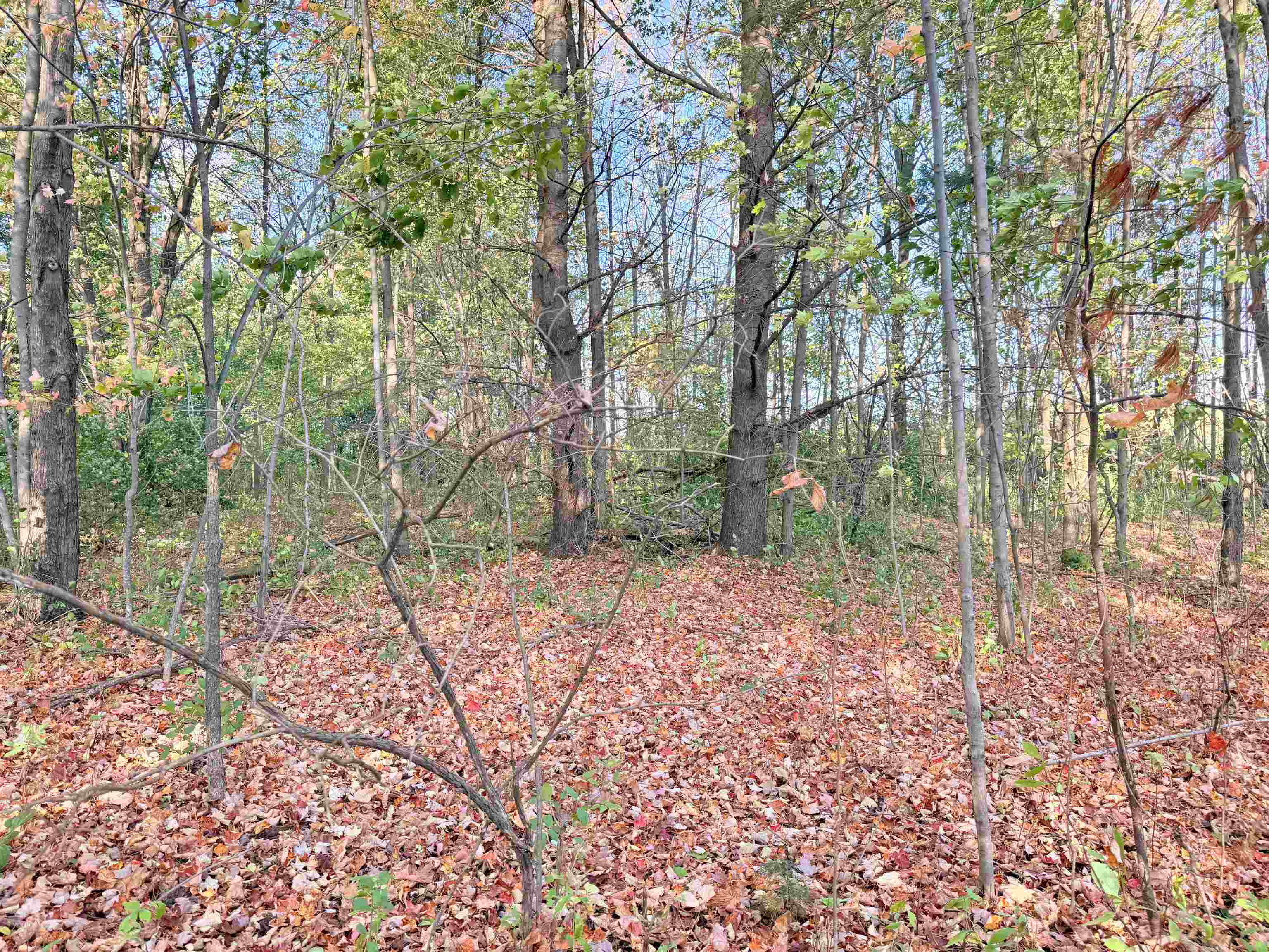 Lot 4 COUNTY ROAD Z, Aniwa, Wisconsin 54408, ,Land,For Sale,Lot 4 COUNTY ROAD Z,22504775