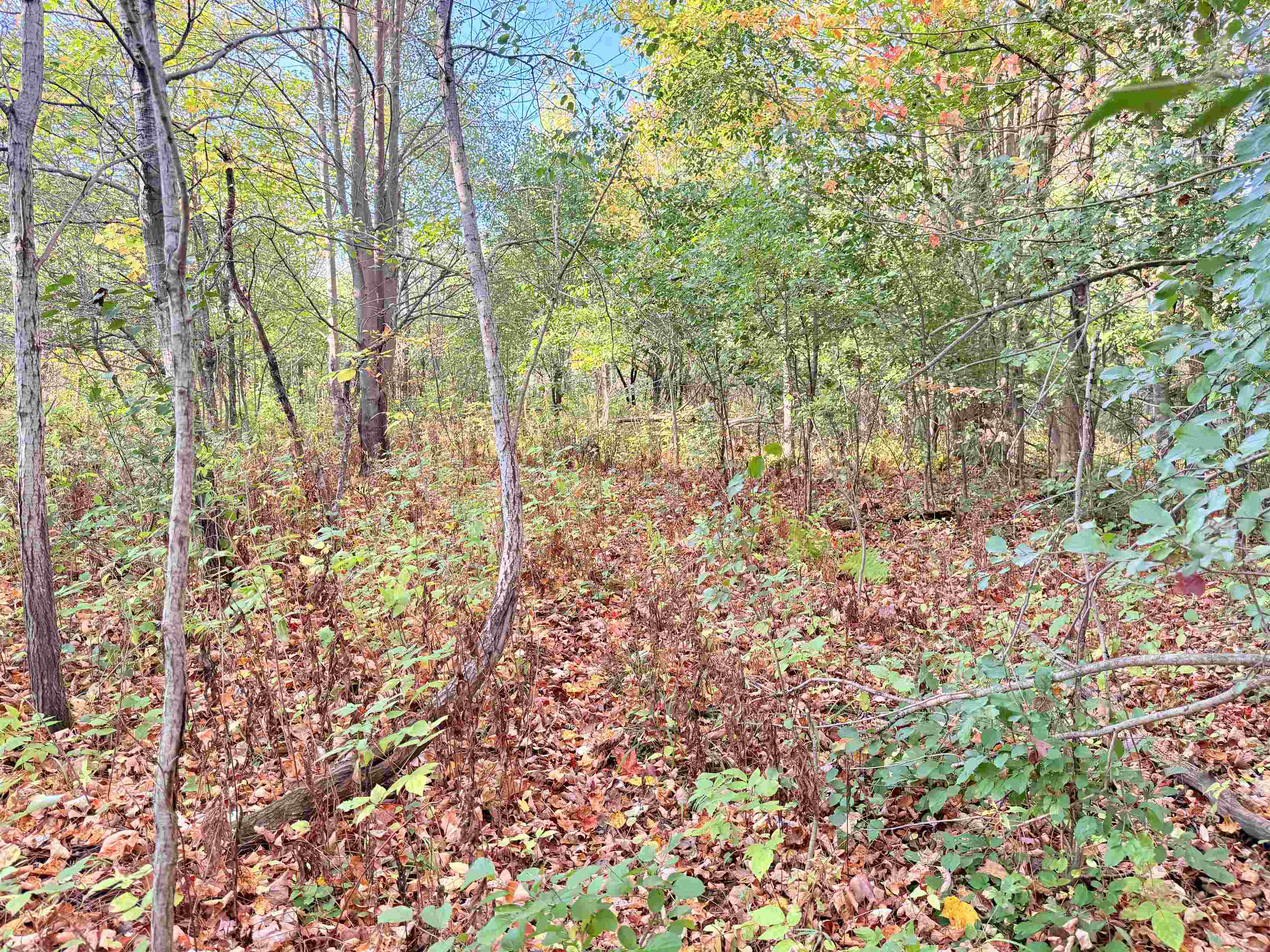 Lot 4 COUNTY ROAD Z, Aniwa, Wisconsin 54408, ,Land,For Sale,Lot 4 COUNTY ROAD Z,22504775