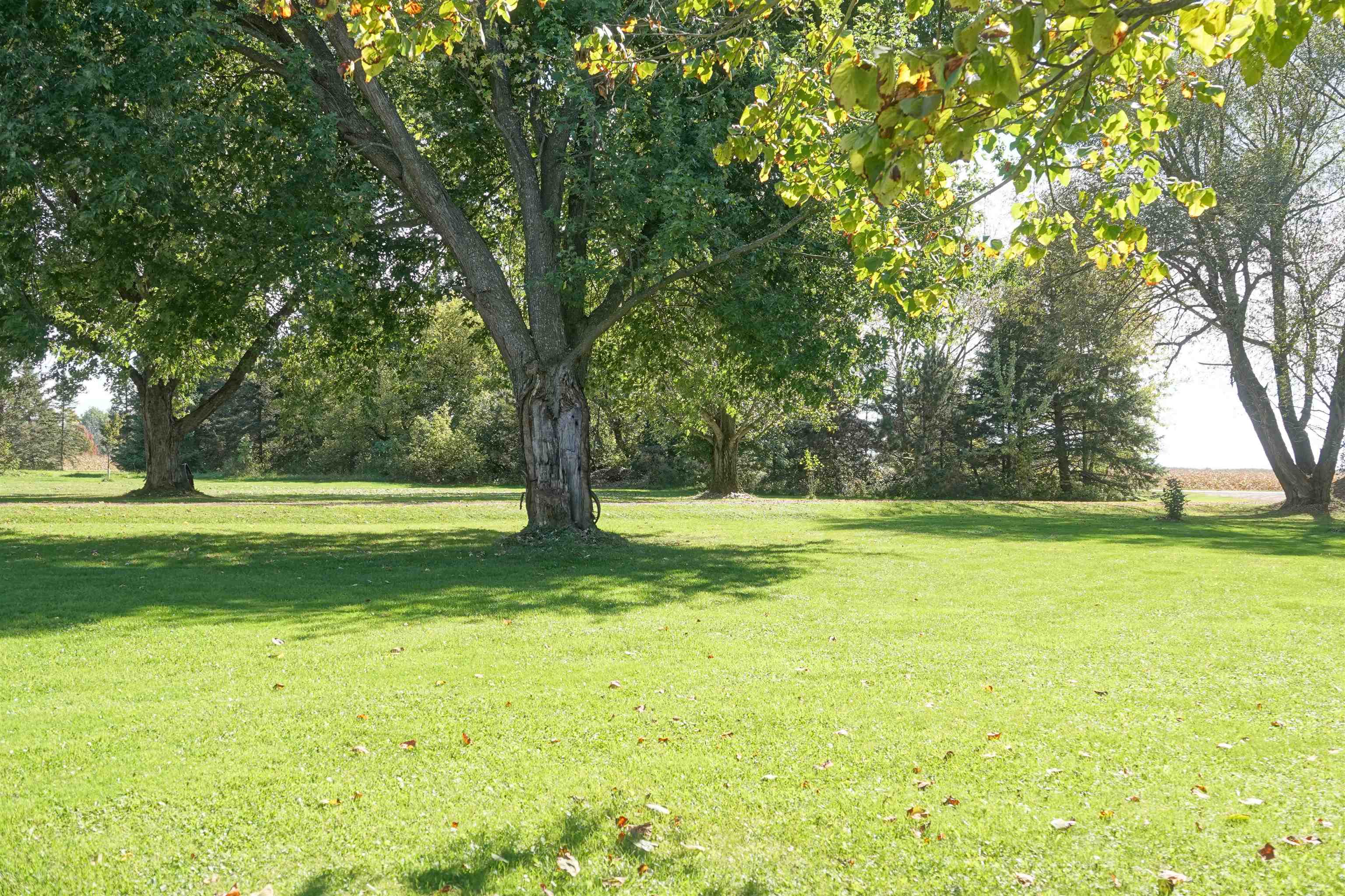 W5060 ELM AVENUE, Stetsonville, Wisconsin 54480, 3 Bedrooms Bedrooms, ,2 BathroomsBathrooms,Residential,For Sale,W5060 ELM AVENUE,22504809