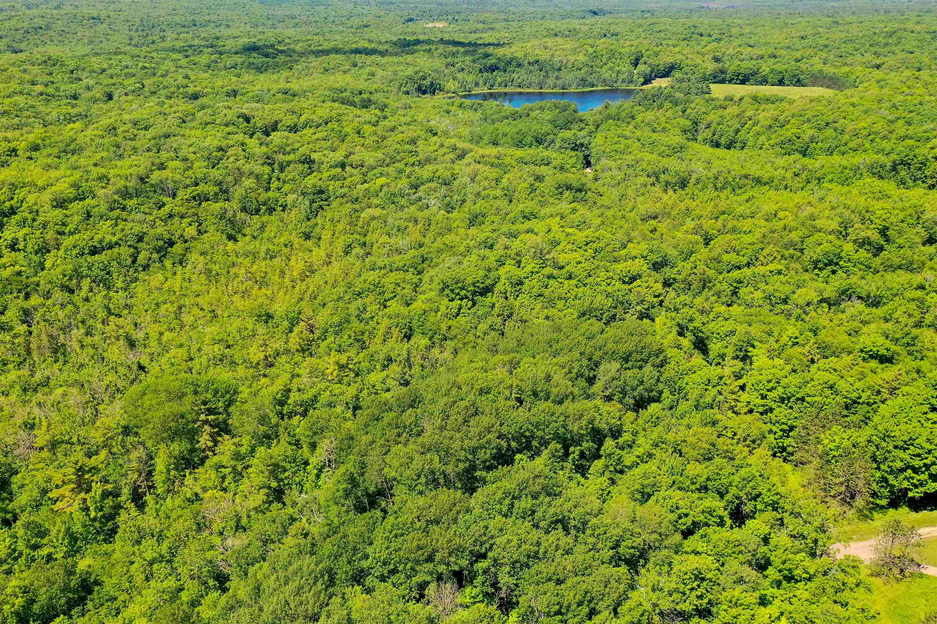 +/-5 Acres SALEM LAKE ROAD, Medford, Wisconsin 54451, ,Land,For Sale,+/-5 Acres SALEM LAKE ROAD,22504810