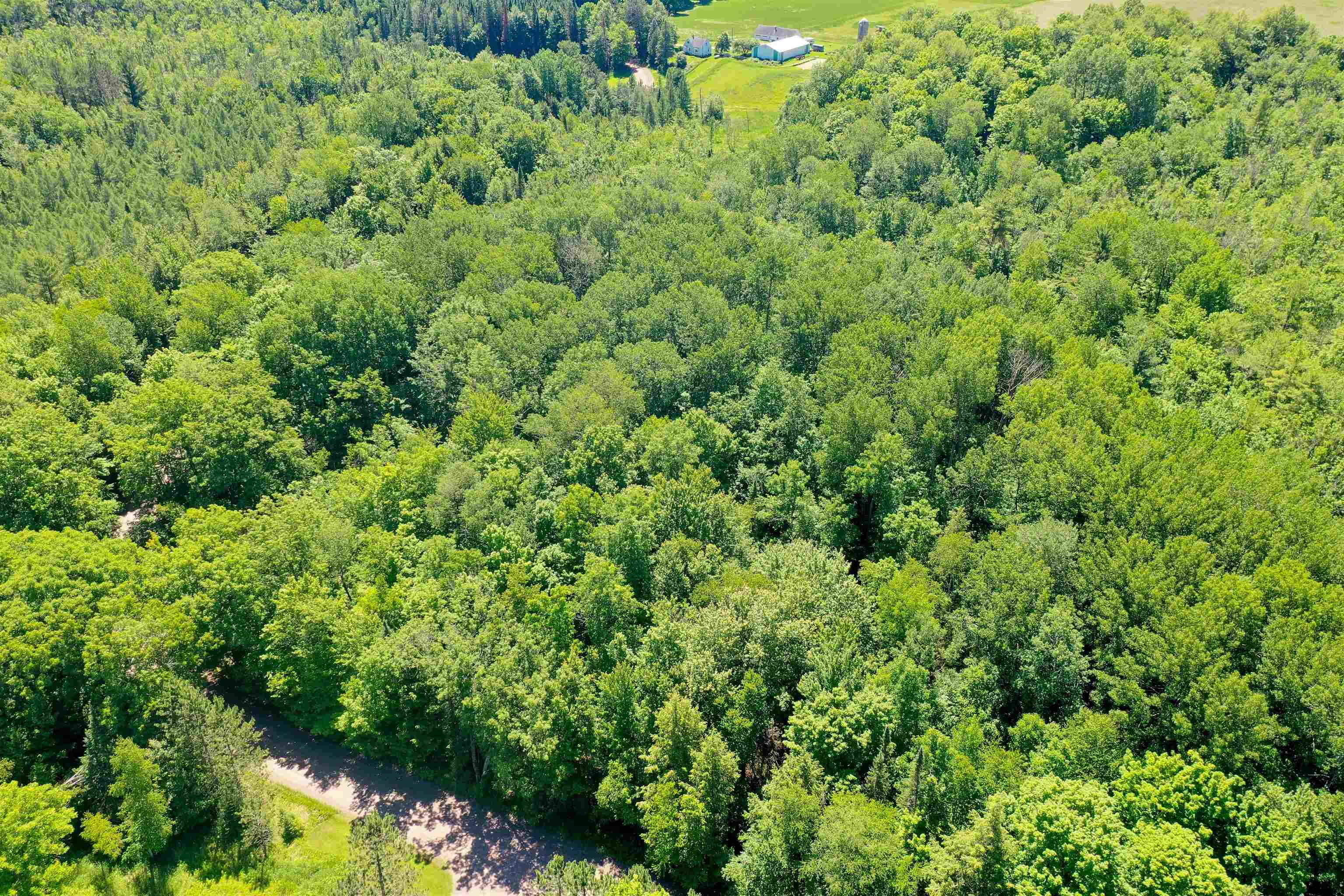 +/-5 Acres SALEM LAKE ROAD, Medford, Wisconsin 54451, ,Land,For Sale,+/-5 Acres SALEM LAKE ROAD,22504810