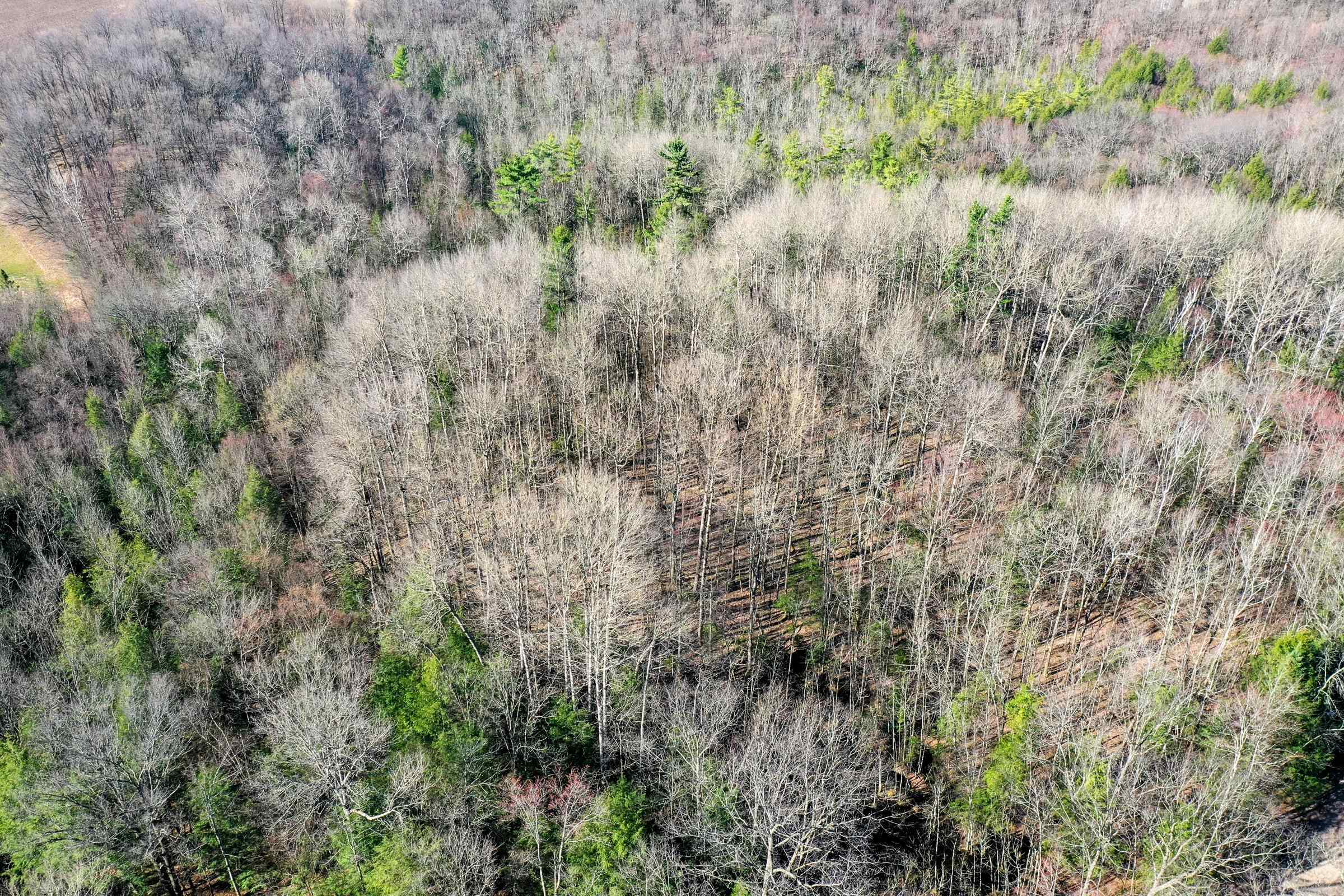 +/-5 Acres SALEM LAKE ROAD, Medford, Wisconsin 54451, ,Land,For Sale,+/-5 Acres SALEM LAKE ROAD,22504810