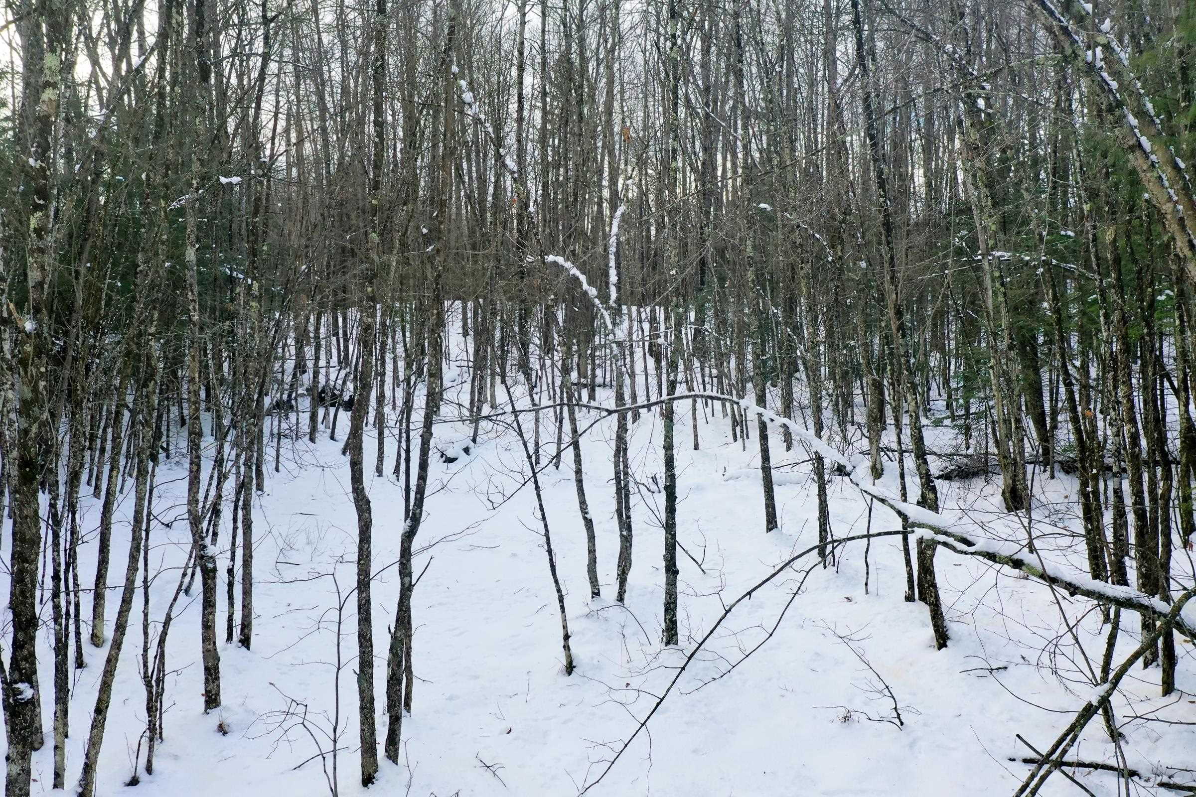 +/-5 Acres SALEM LAKE ROAD, Medford, Wisconsin 54451, ,Land,For Sale,+/-5 Acres SALEM LAKE ROAD,22504810