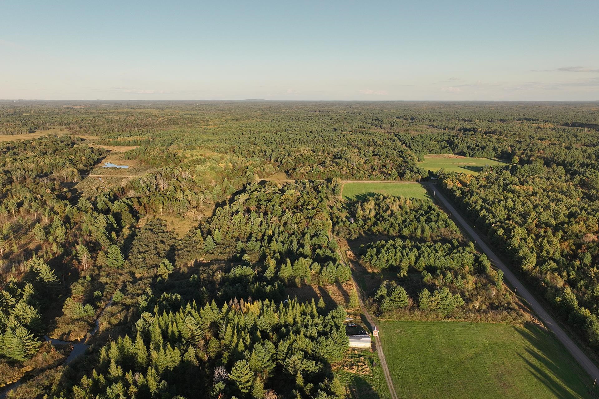 81 Acres ANDERSON ROAD, Neillsville, Wisconsin 54456, ,Land,For Sale,81 Acres ANDERSON ROAD,22504866