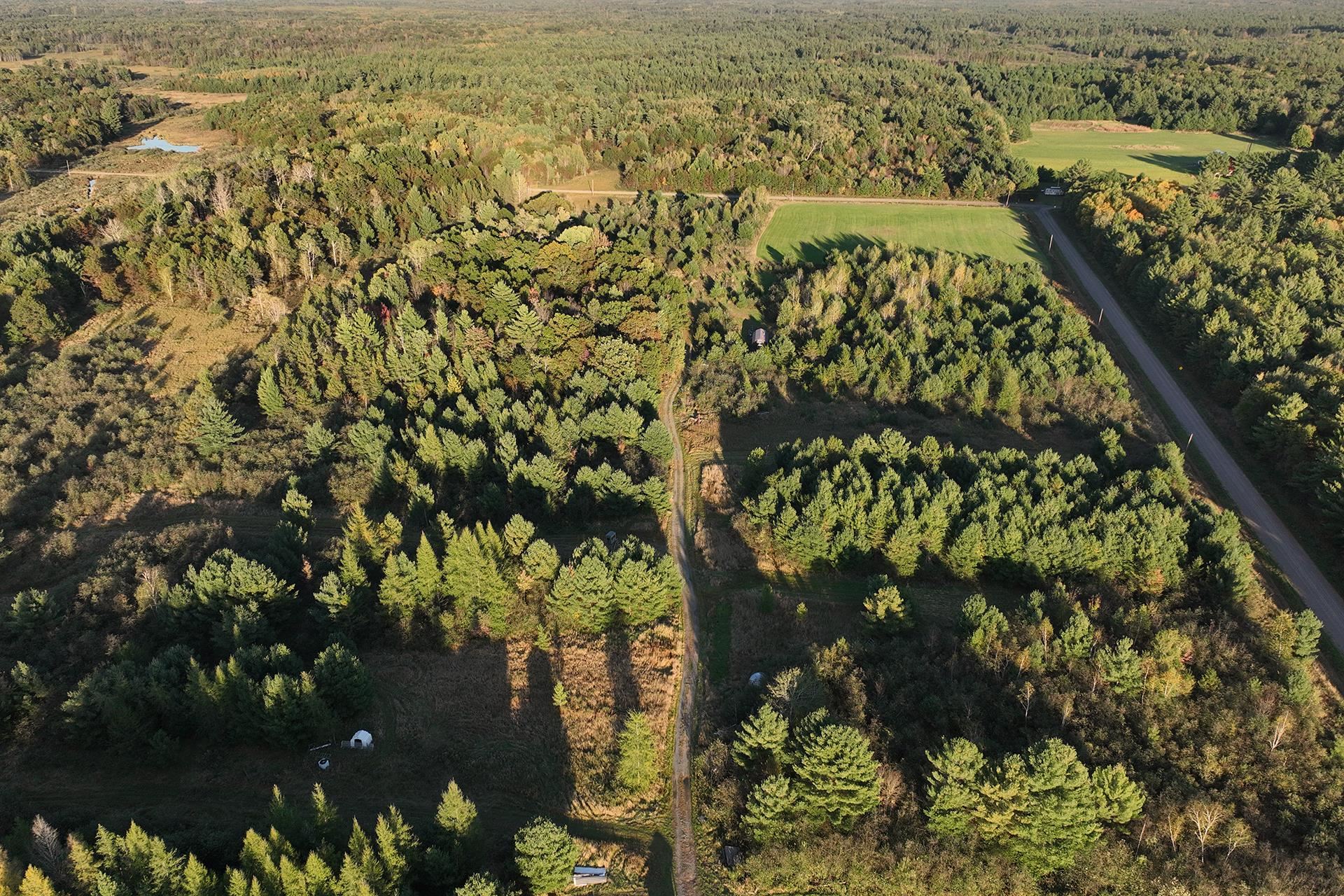 81 Acres ANDERSON ROAD, Neillsville, Wisconsin 54456, ,Land,For Sale,81 Acres ANDERSON ROAD,22504866