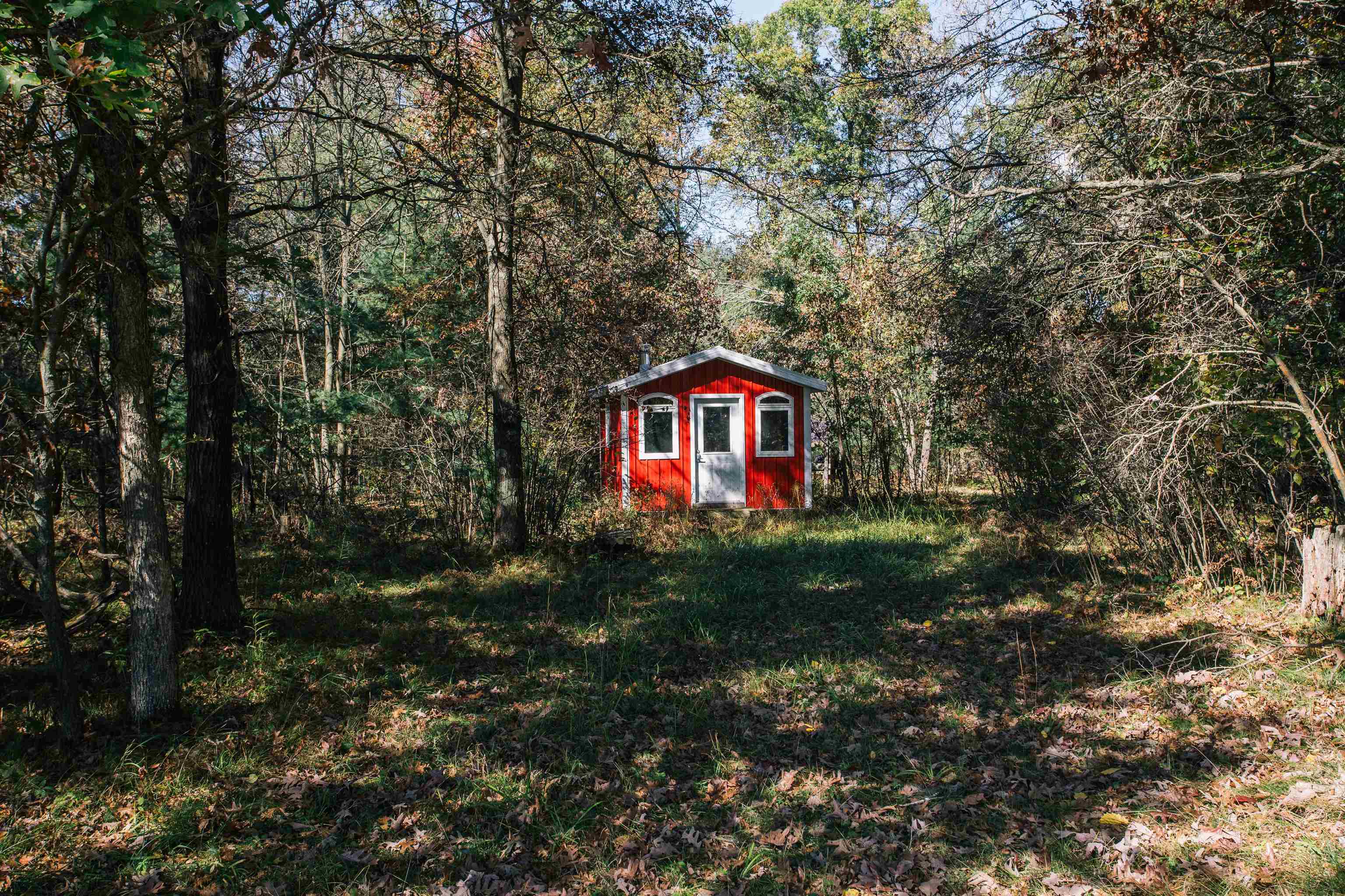 81 Acres ANDERSON ROAD, Neillsville, Wisconsin 54456, ,Land,For Sale,81 Acres ANDERSON ROAD,22504866