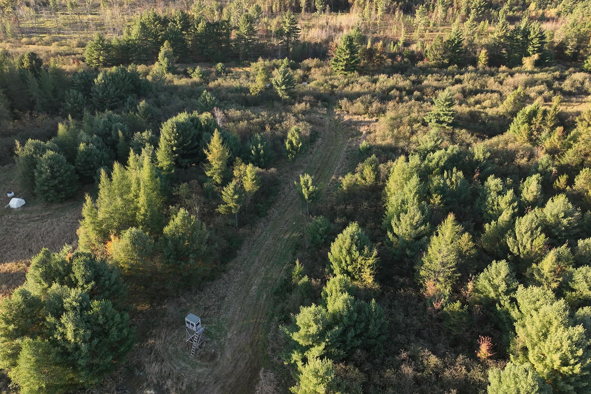 81 Acres ANDERSON ROAD, Neillsville, Wisconsin 54456, ,Land,For Sale,81 Acres ANDERSON ROAD,22504866