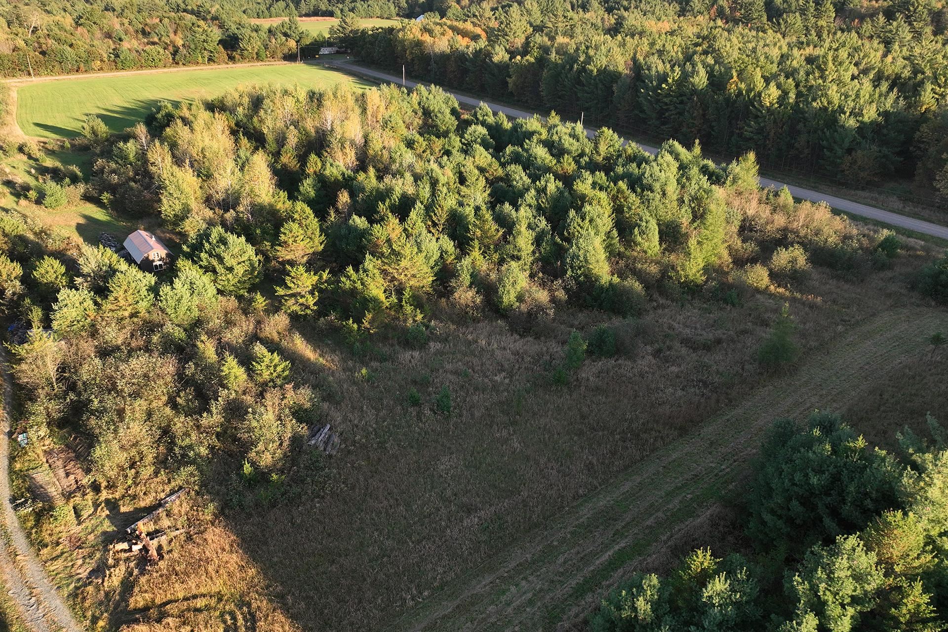 81 Acres ANDERSON ROAD, Neillsville, Wisconsin 54456, ,Land,For Sale,81 Acres ANDERSON ROAD,22504866