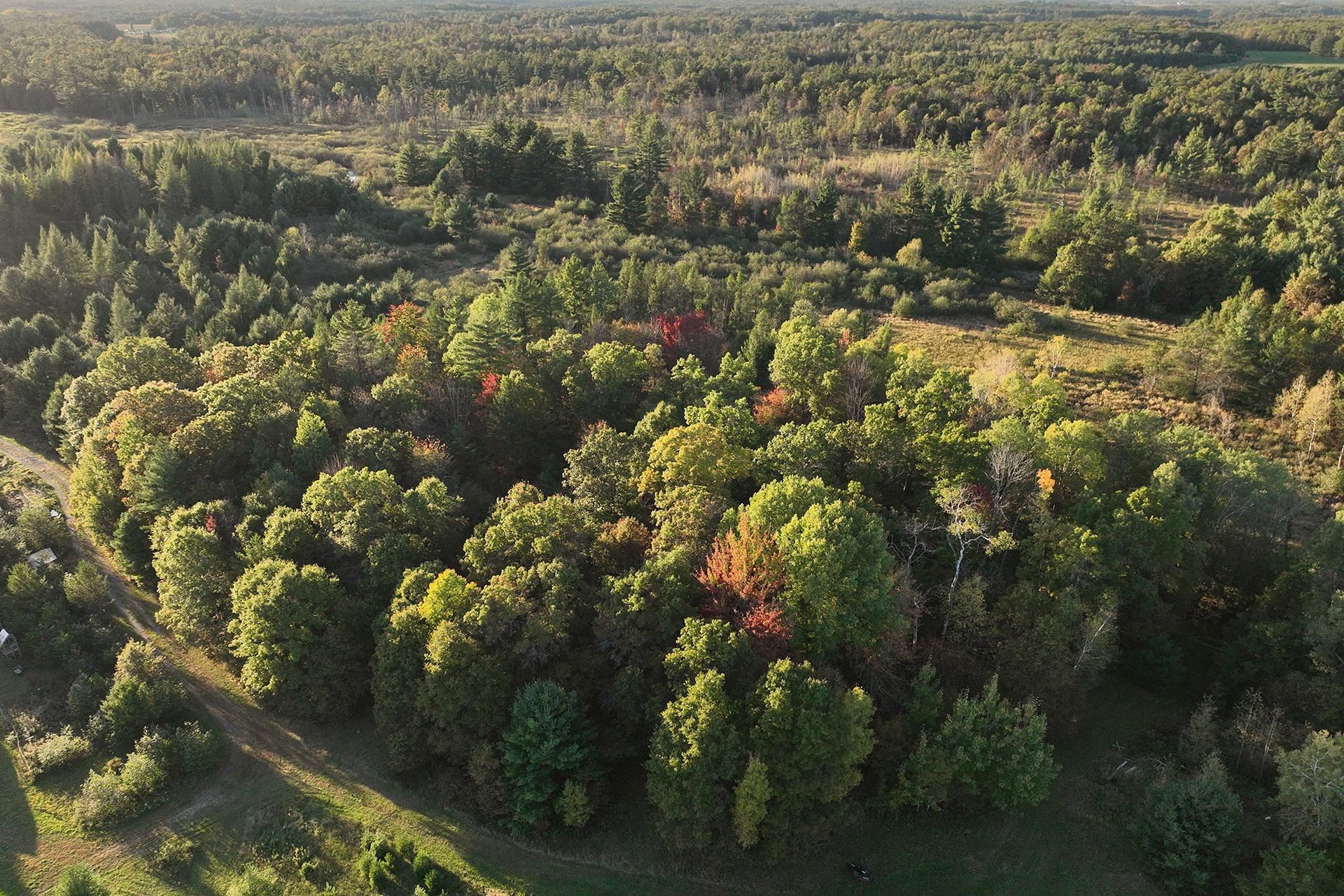 81 Acres ANDERSON ROAD, Neillsville, Wisconsin 54456, ,Land,For Sale,81 Acres ANDERSON ROAD,22504866