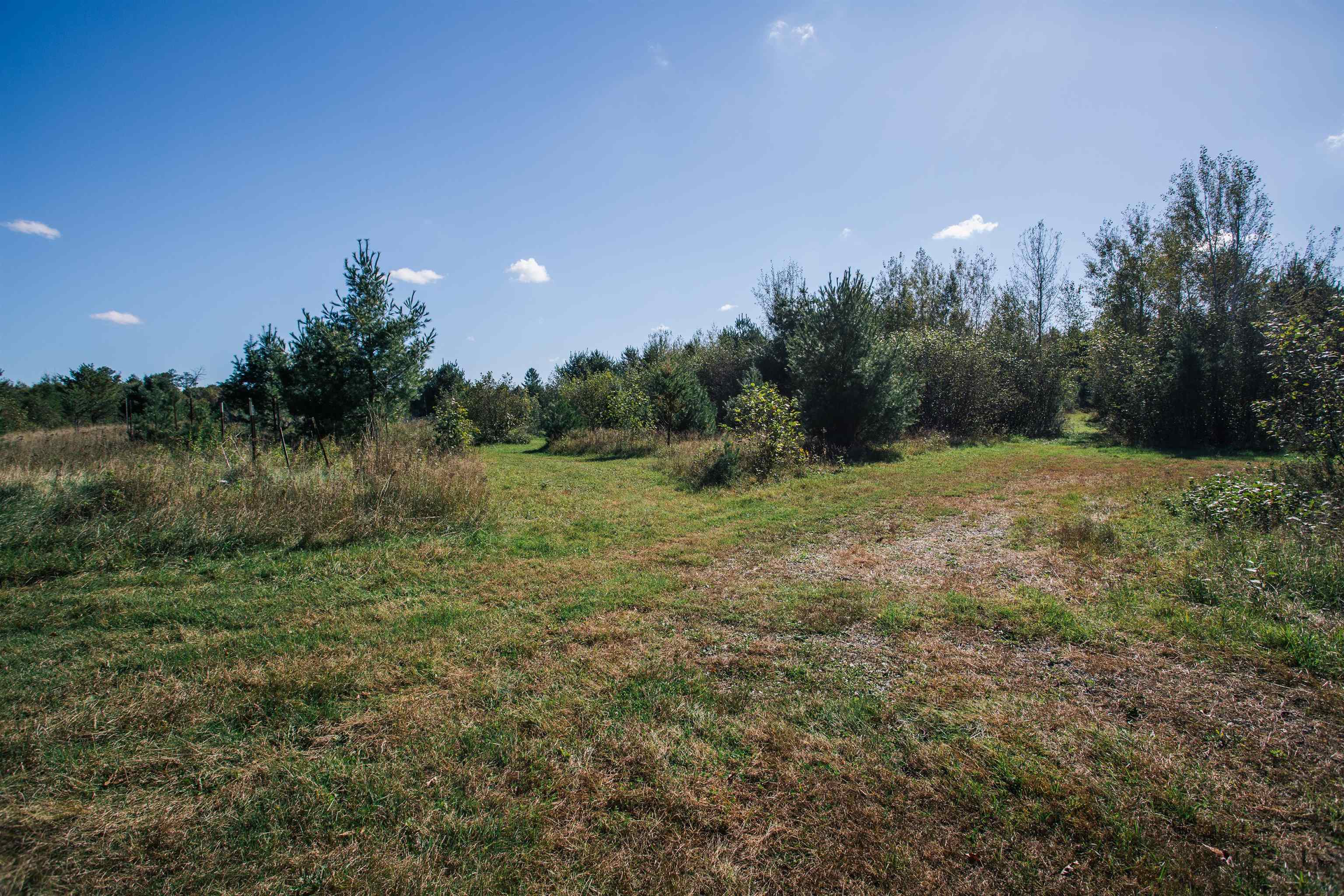 81 Acres ANDERSON ROAD, Neillsville, Wisconsin 54456, ,Land,For Sale,81 Acres ANDERSON ROAD,22504866