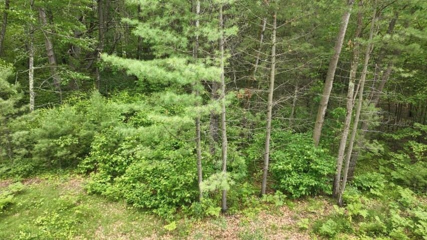 Lots 2 & 3 KAUFMAN ROAD, Tomahawk, Wisconsin 54487, ,Land,For Sale,Lots 2 & 3 KAUFMAN ROAD,22504883