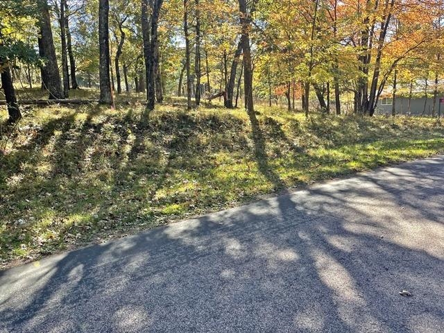 1091 W QUEENS WAY, Nekoosa, Wisconsin 54457, ,Land,For Sale,1091 W QUEENS WAY,22504951