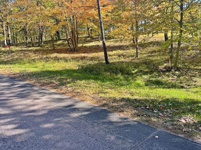 1091 W QUEENS WAY, Nekoosa, Wisconsin 54457, ,Land,For Sale,1091 W QUEENS WAY,22504951