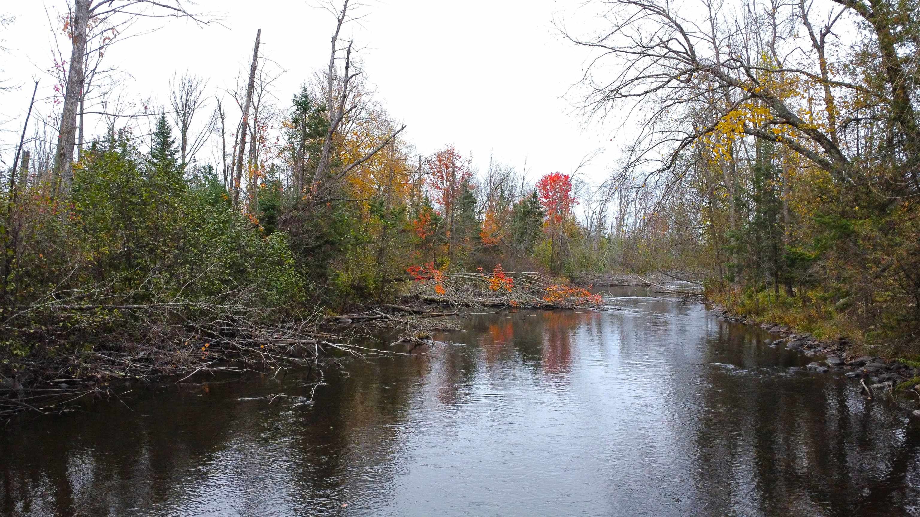 N7799 MARSHALL LANE, Lily, Wisconsin 54491, 2 Bedrooms Bedrooms, ,1 BathroomBathrooms,Residential,For Sale,N7799 MARSHALL LANE,22504986