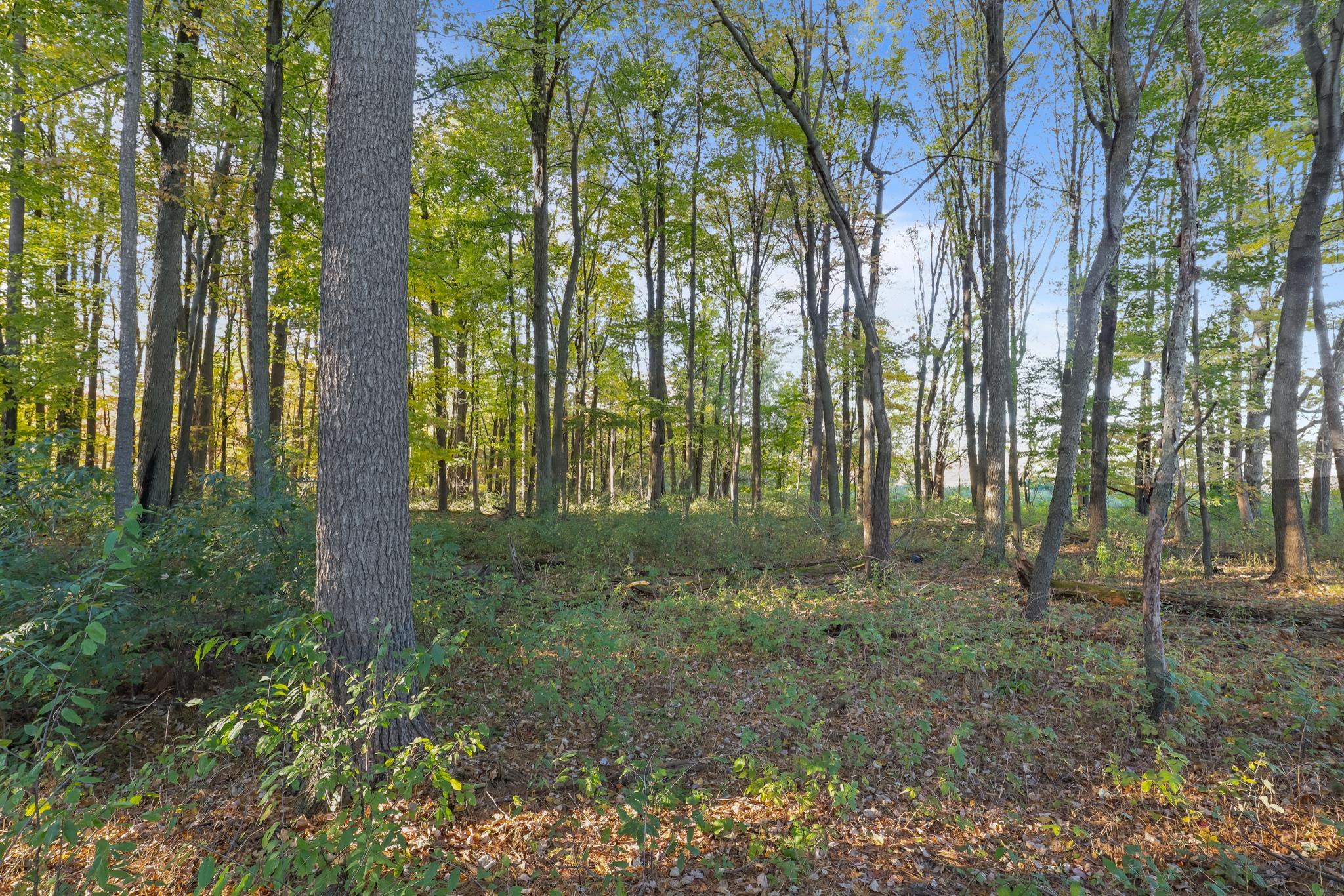 2100 PENINSULA PLACE, Junction City, Wisconsin 54443, ,Land,For Sale,2100 PENINSULA PLACE,22505011