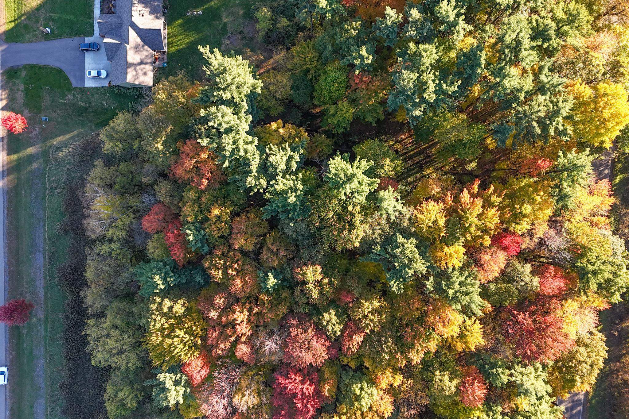 2100 PENINSULA PLACE, Junction City, Wisconsin 54443, ,Land,For Sale,2100 PENINSULA PLACE,22505011