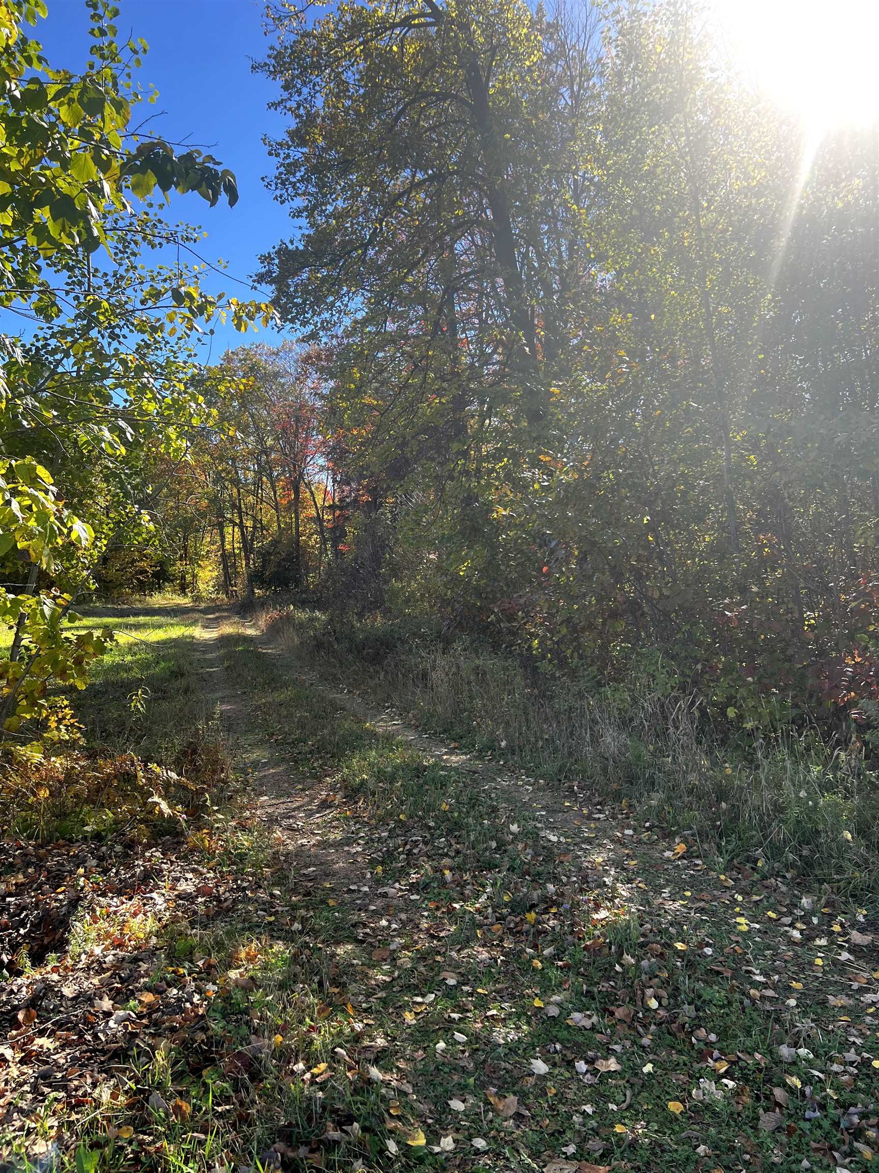 On RED BRICK ROAD, Mosinee, Wisconsin 54455, ,Land,For Sale,On RED BRICK ROAD,22505047