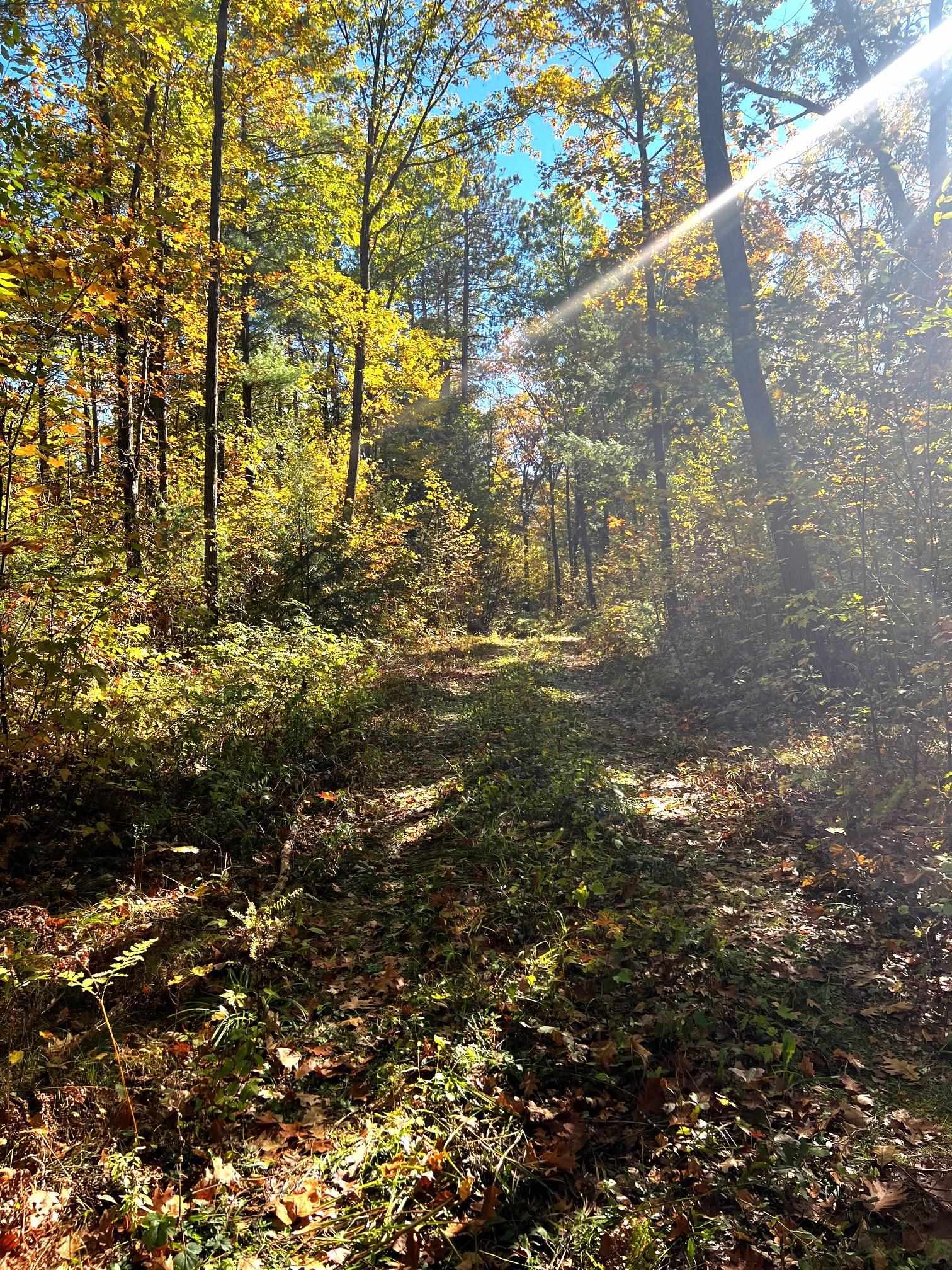 On RED BRICK ROAD, Mosinee, Wisconsin 54455, ,Land,For Sale,On RED BRICK ROAD,22505047