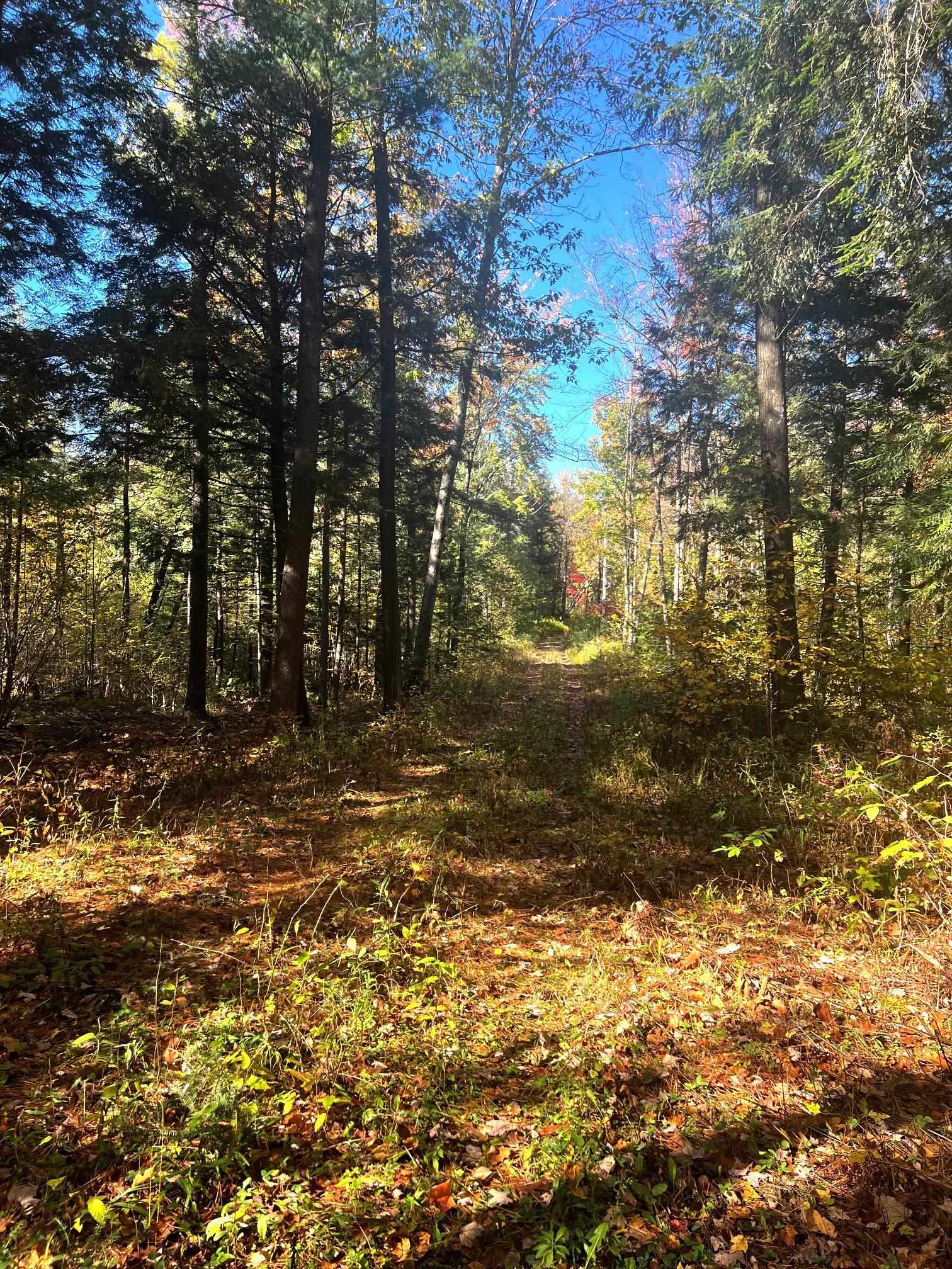 On RED BRICK ROAD, Mosinee, Wisconsin 54455, ,Land,For Sale,On RED BRICK ROAD,22505047