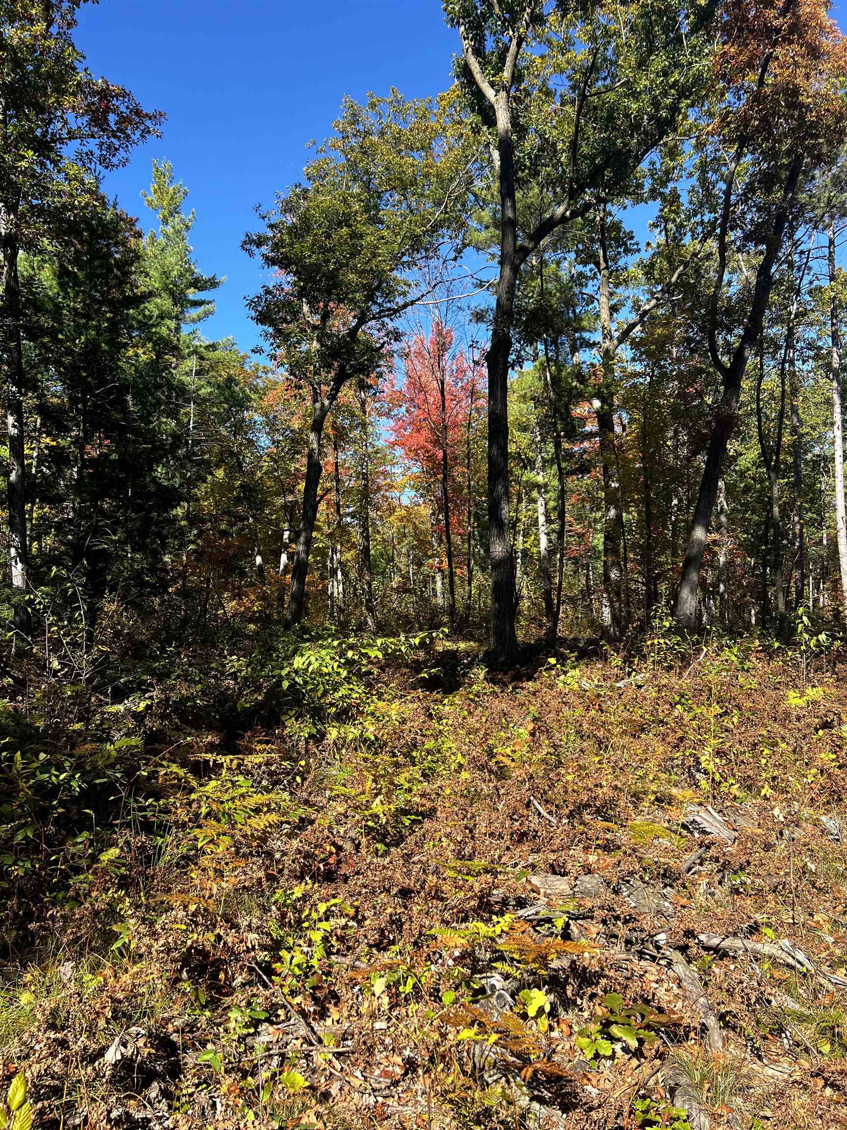 On RED BRICK ROAD, Mosinee, Wisconsin 54455, ,Land,For Sale,On RED BRICK ROAD,22505047