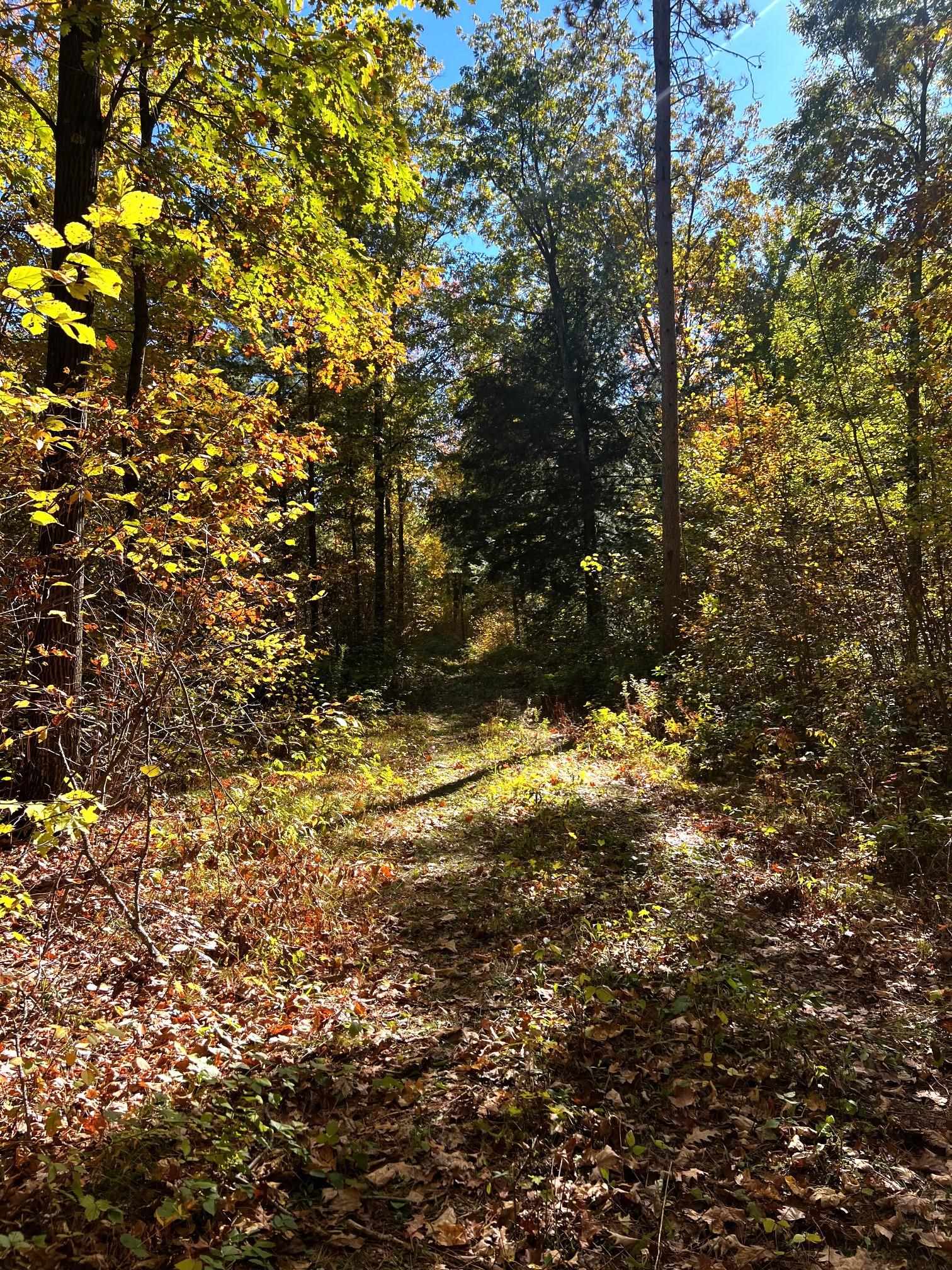 On RED BRICK ROAD, Mosinee, Wisconsin 54455, ,Land,For Sale,On RED BRICK ROAD,22505047