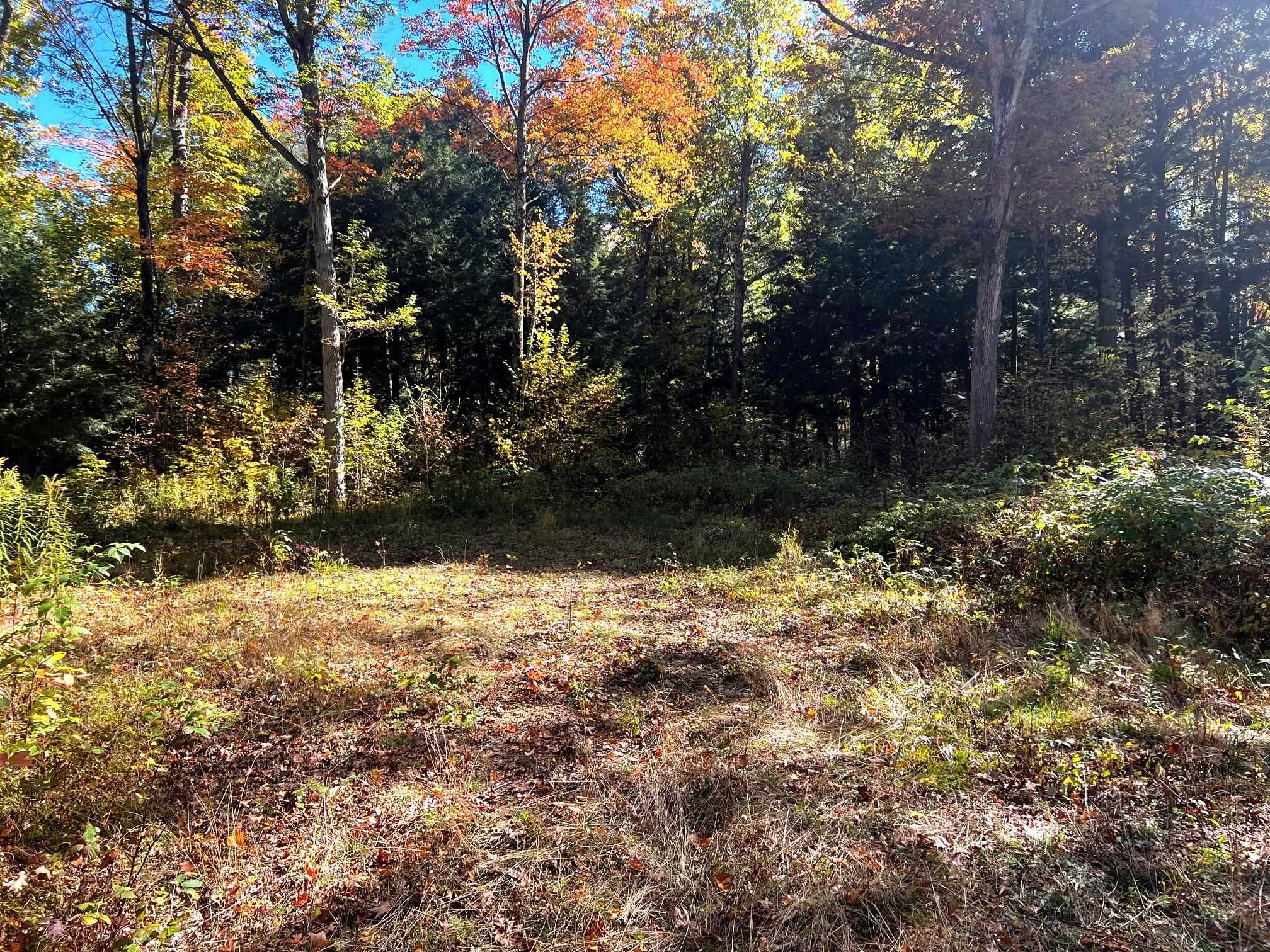 On RED BRICK ROAD, Mosinee, Wisconsin 54455, ,Land,For Sale,On RED BRICK ROAD,22505047