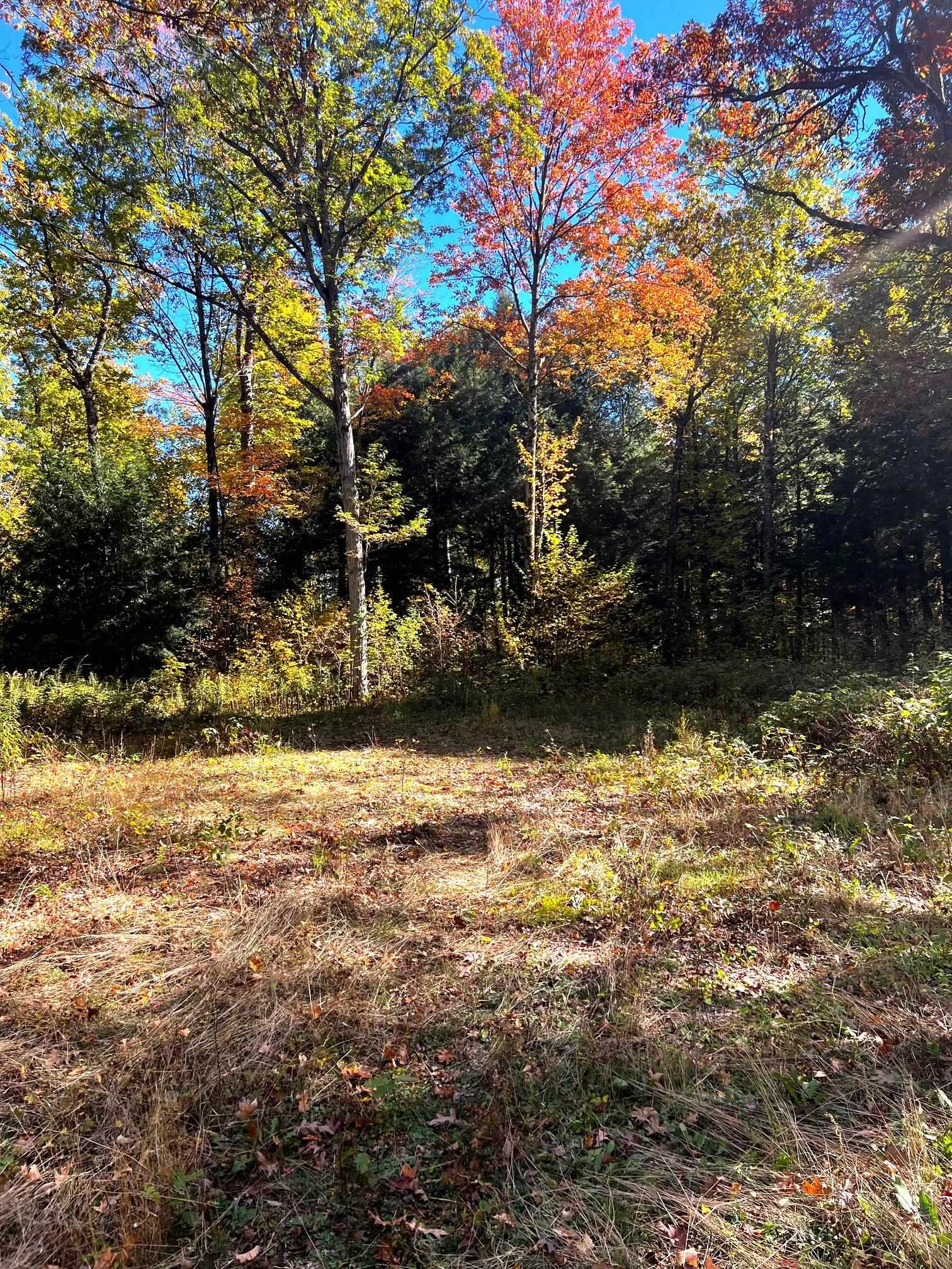 On RED BRICK ROAD, Mosinee, Wisconsin 54455, ,Land,For Sale,On RED BRICK ROAD,22505047