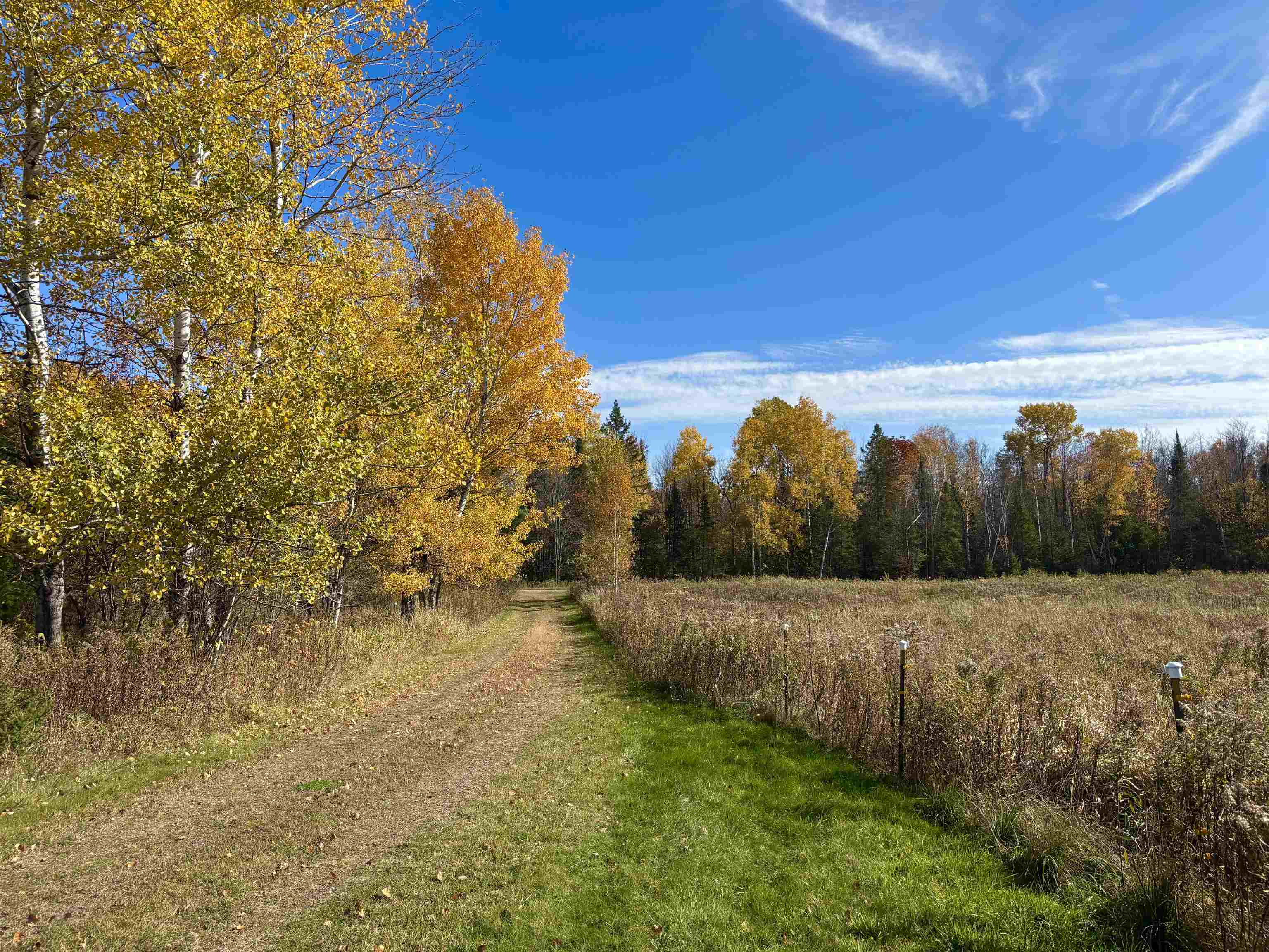 N6441 LINDOW ROAD, Prentice, Wisconsin 54556, 4 Bedrooms Bedrooms, ,2 BathroomsBathrooms,Residential,For Sale,N6441 LINDOW ROAD,22505092
