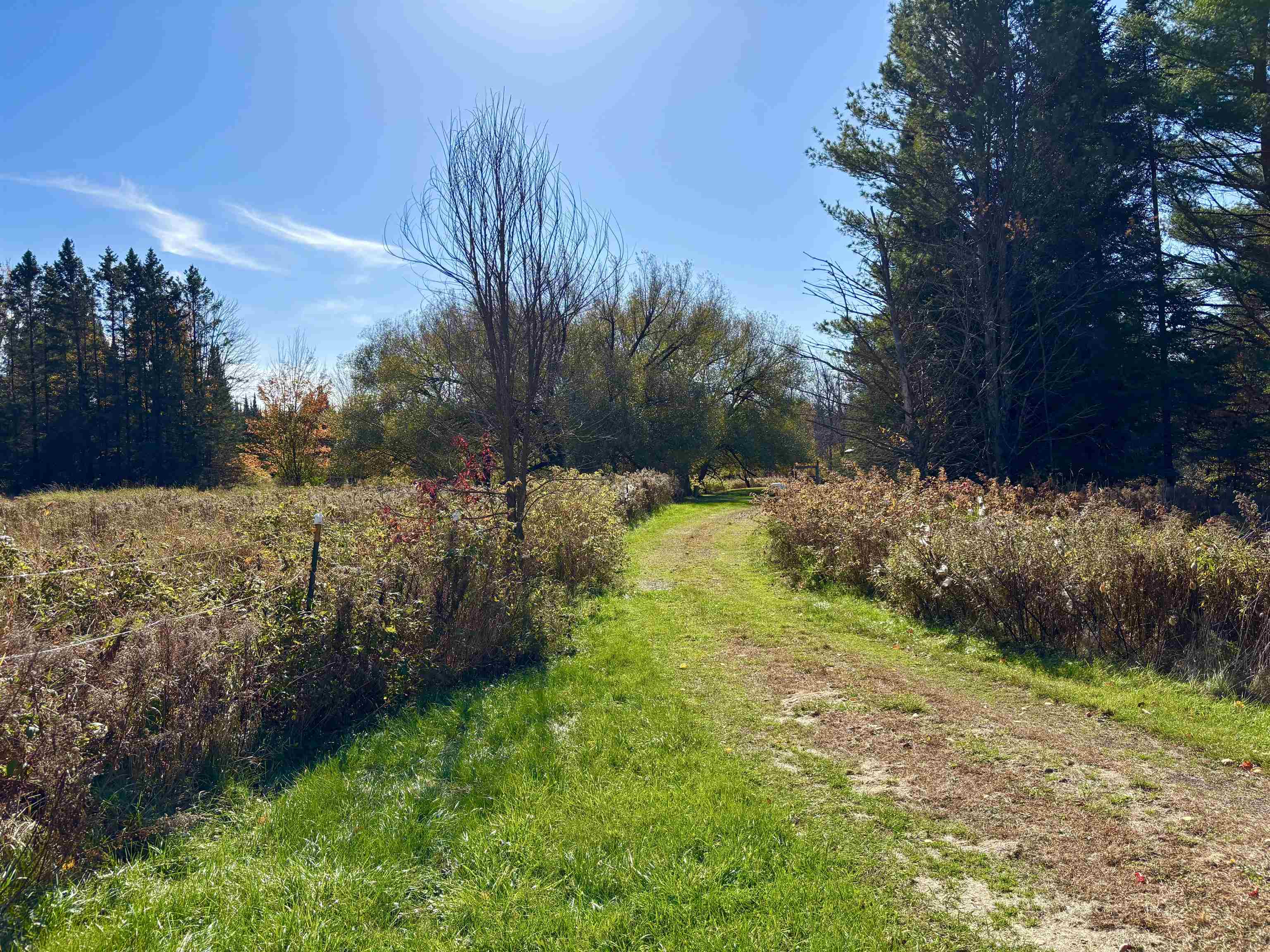 N6441 LINDOW ROAD, Prentice, Wisconsin 54556, 4 Bedrooms Bedrooms, ,2 BathroomsBathrooms,Residential,For Sale,N6441 LINDOW ROAD,22505092