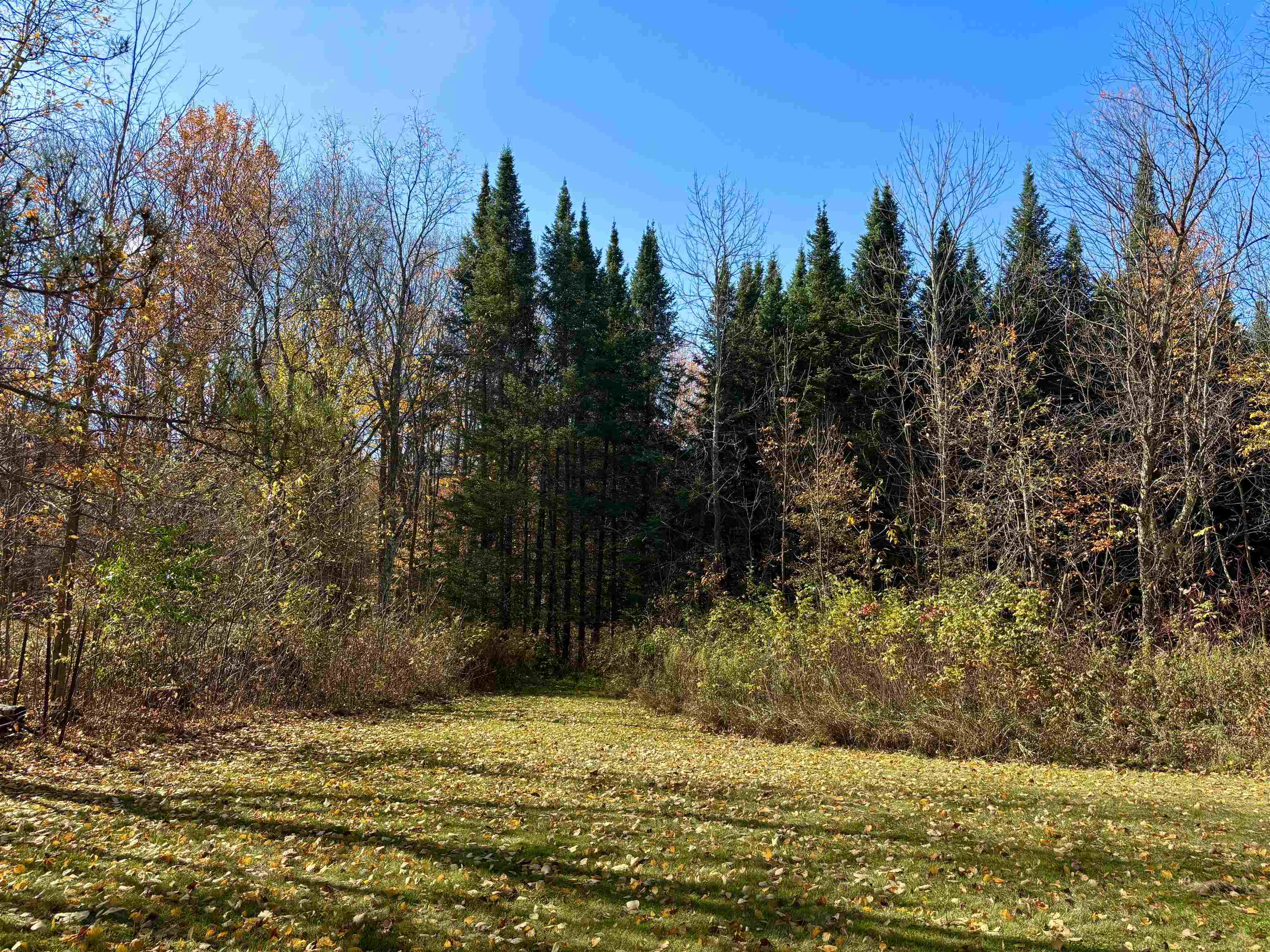 N6441 LINDOW ROAD, Prentice, Wisconsin 54556, 4 Bedrooms Bedrooms, ,2 BathroomsBathrooms,Residential,For Sale,N6441 LINDOW ROAD,22505092