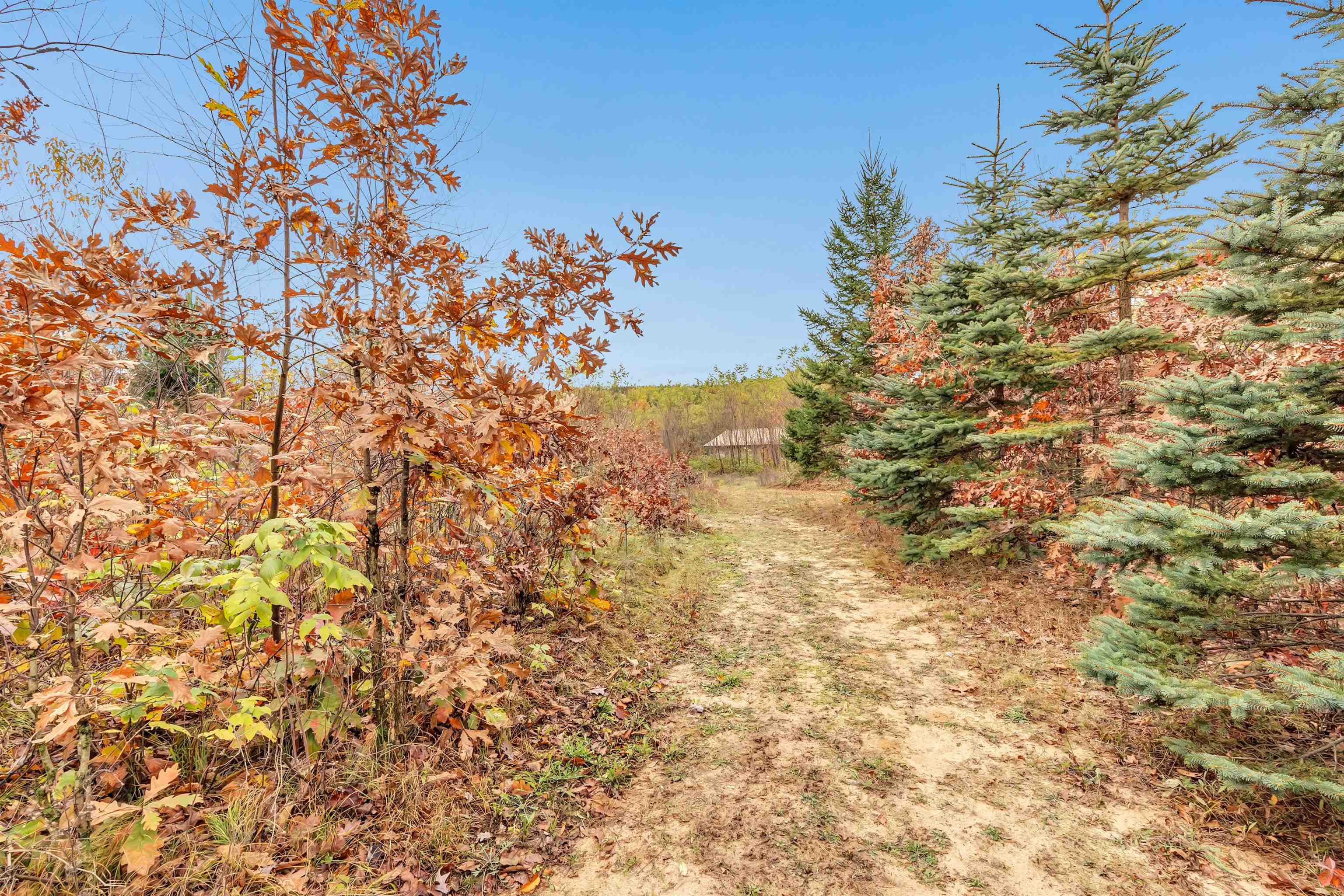 4006 ELKINS ROAD, Amherst, Wisconsin 54406, 4 Bedrooms Bedrooms, ,3 BathroomsBathrooms,Residential,For Sale,4006 ELKINS ROAD,22505122