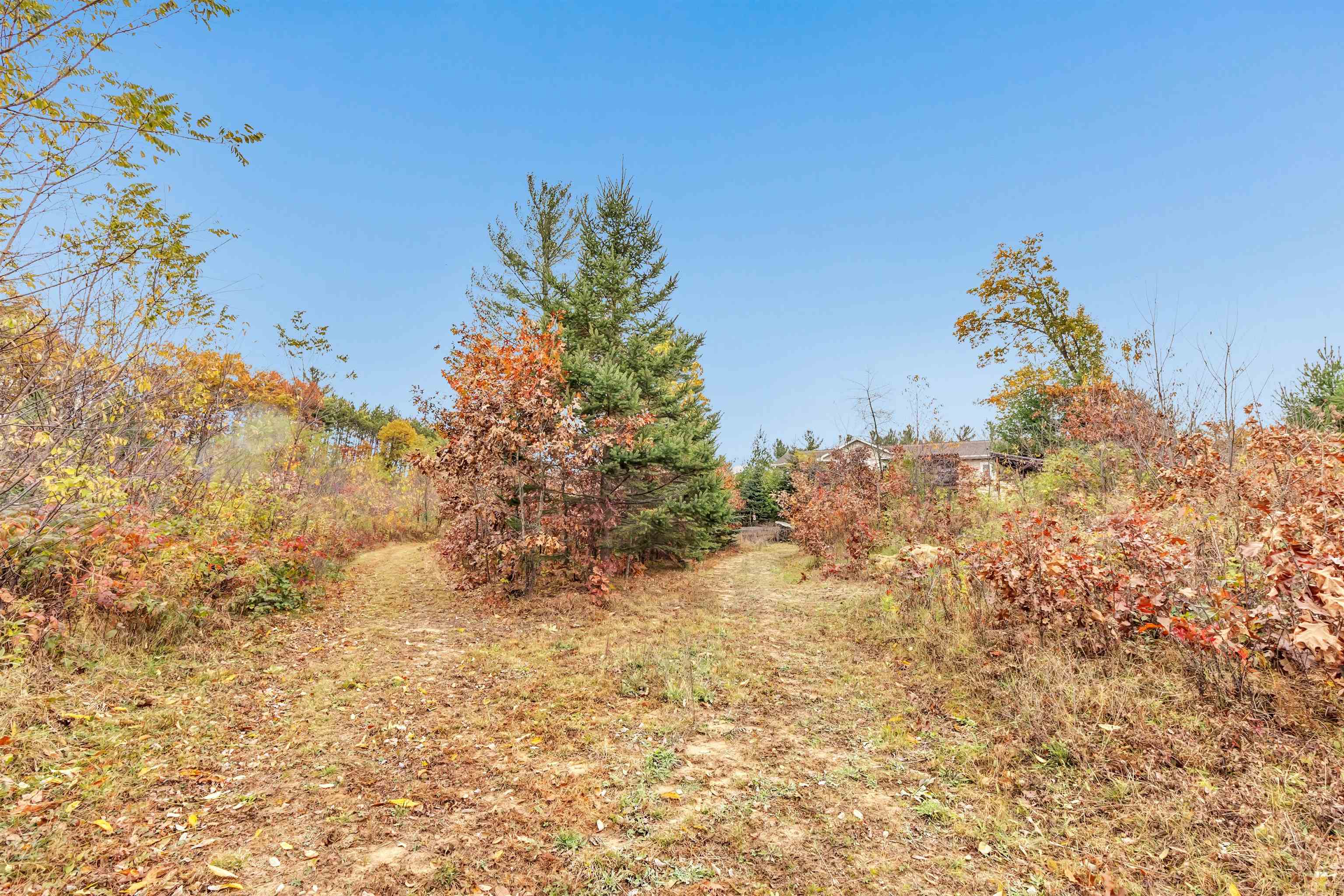 4006 ELKINS ROAD, Amherst, Wisconsin 54406, 4 Bedrooms Bedrooms, ,3 BathroomsBathrooms,Residential,For Sale,4006 ELKINS ROAD,22505122