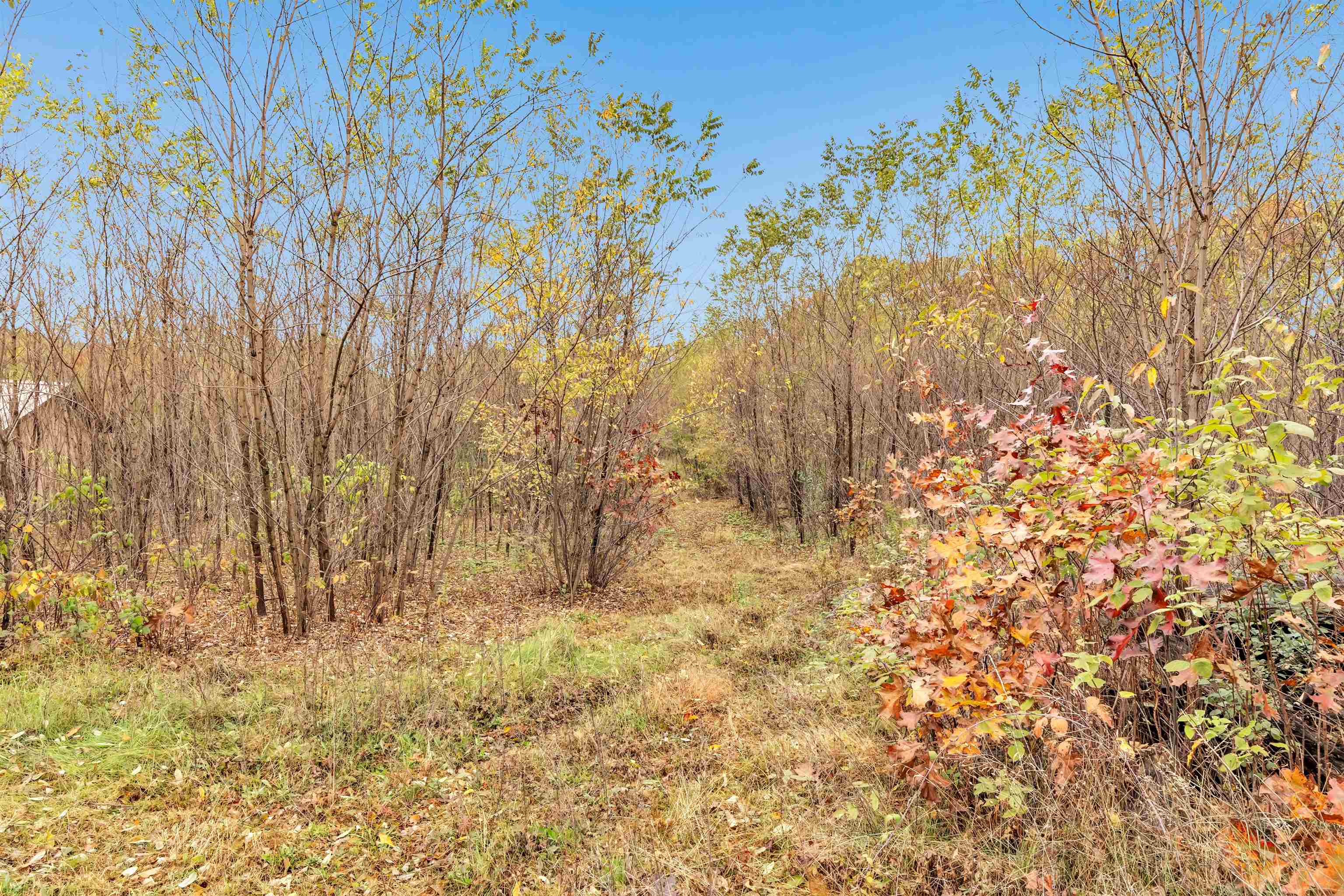 4006 ELKINS ROAD, Amherst, Wisconsin 54406, 4 Bedrooms Bedrooms, ,3 BathroomsBathrooms,Residential,For Sale,4006 ELKINS ROAD,22505122