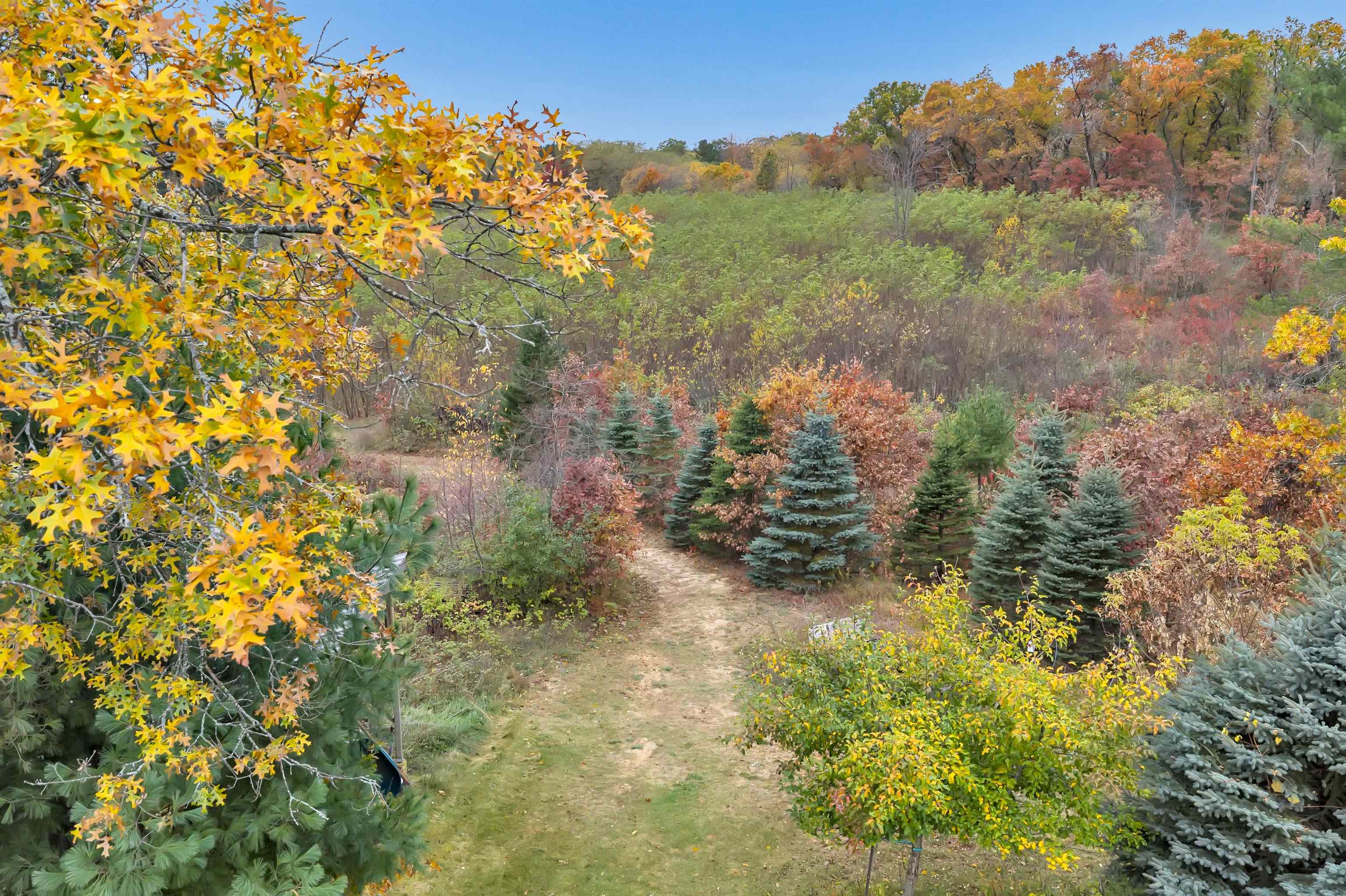 4006 ELKINS ROAD, Amherst, Wisconsin 54406, 4 Bedrooms Bedrooms, ,3 BathroomsBathrooms,Residential,For Sale,4006 ELKINS ROAD,22505122