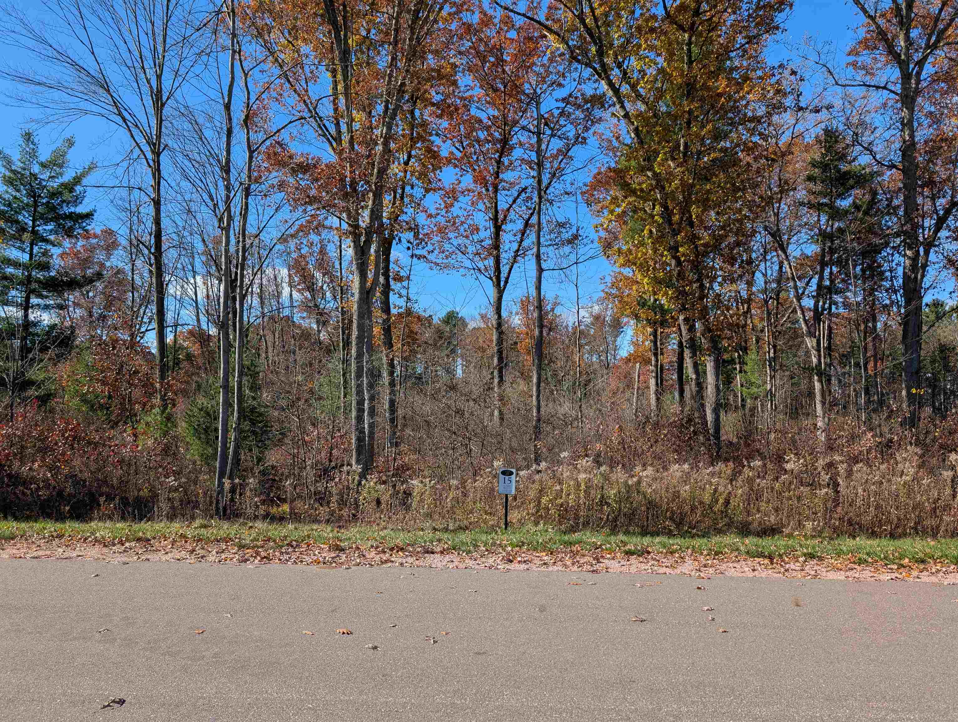 2991 WATERVIEW DRIVE, BIRON, Wisconsin 54494, ,Land,For Sale,2991 WATERVIEW DRIVE,22505184