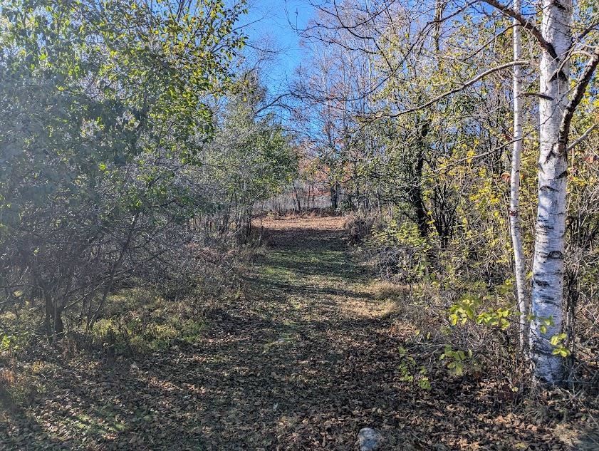 N9689 BASS LAKE LANE, Phillips, Wisconsin 54555, 3 Bedrooms Bedrooms, ,2 BathroomsBathrooms,Residential,For Sale,N9689 BASS LAKE LANE,22505206