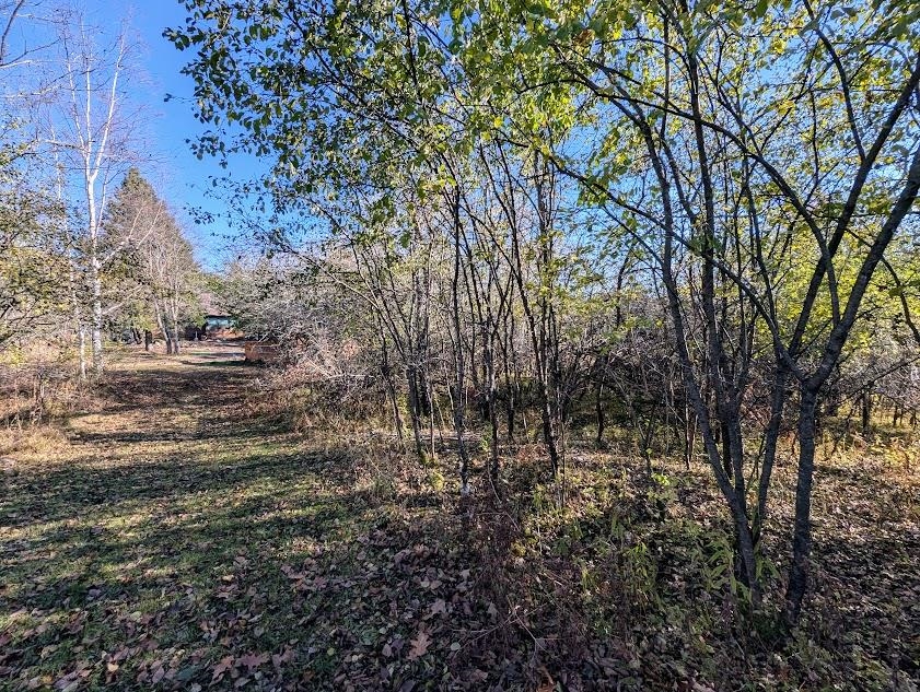 N9689 BASS LAKE LANE, Phillips, Wisconsin 54555, 3 Bedrooms Bedrooms, ,2 BathroomsBathrooms,Residential,For Sale,N9689 BASS LAKE LANE,22505206