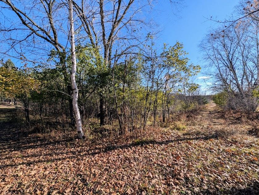 N9689 BASS LAKE LANE, Phillips, Wisconsin 54555, 3 Bedrooms Bedrooms, ,2 BathroomsBathrooms,Residential,For Sale,N9689 BASS LAKE LANE,22505206