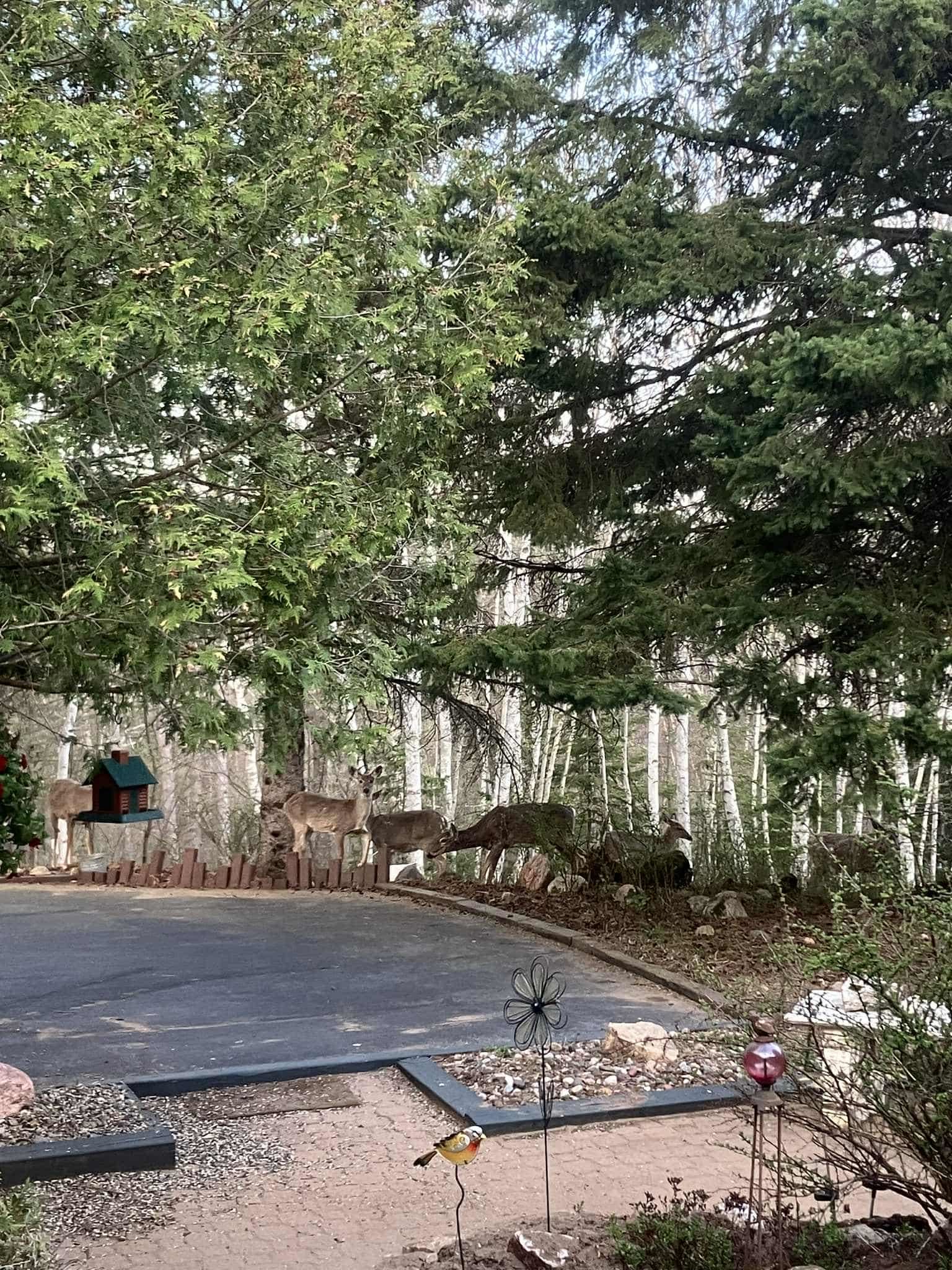 N9689 BASS LAKE LANE, Phillips, Wisconsin 54555, 3 Bedrooms Bedrooms, ,2 BathroomsBathrooms,Residential,For Sale,N9689 BASS LAKE LANE,22505206