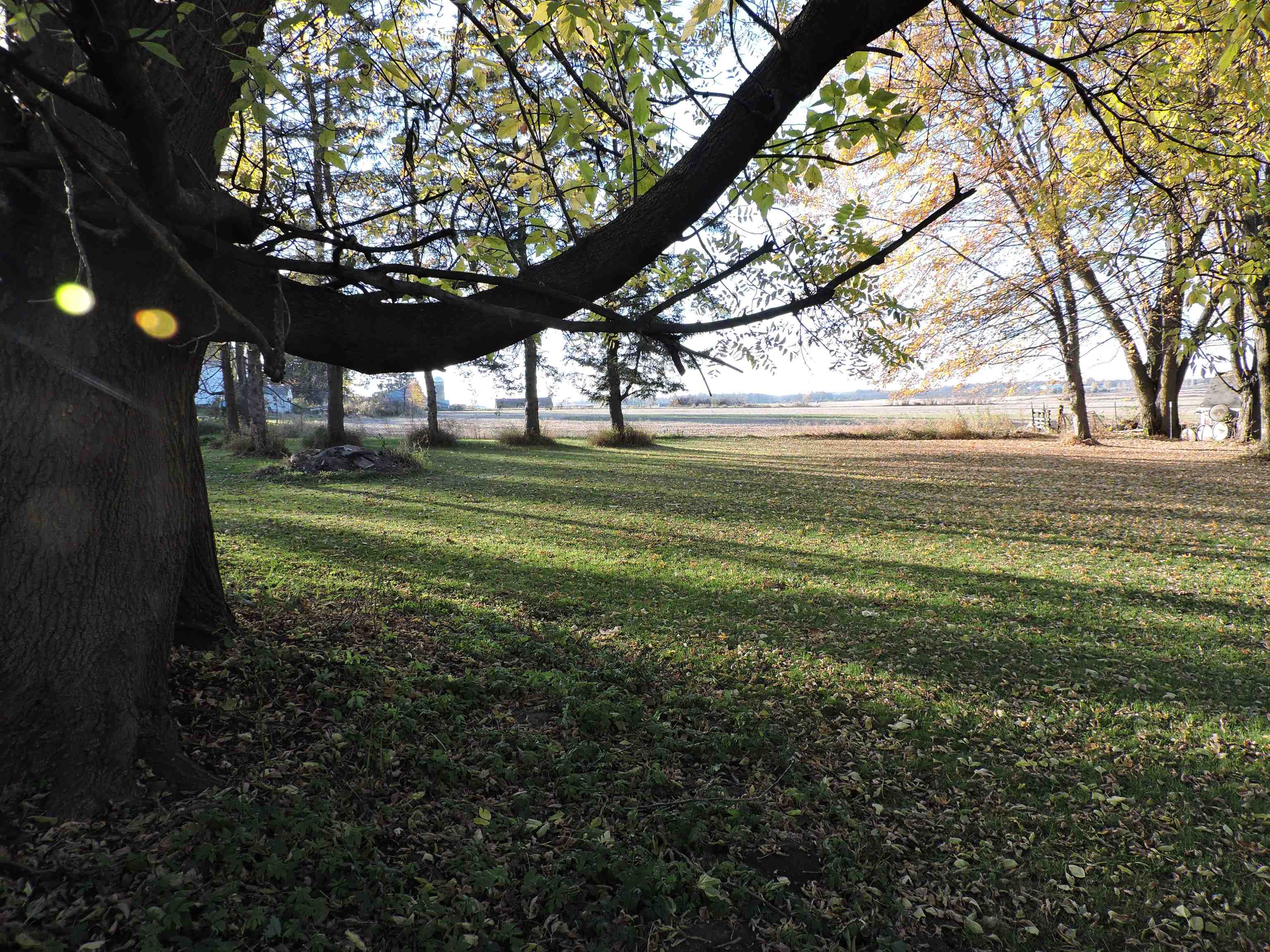 310 W CLARK STREET, Unity, Wisconsin 54488, 4 Bedrooms Bedrooms, ,2 BathroomsBathrooms,Residential,For Sale,310 W CLARK STREET,22505234