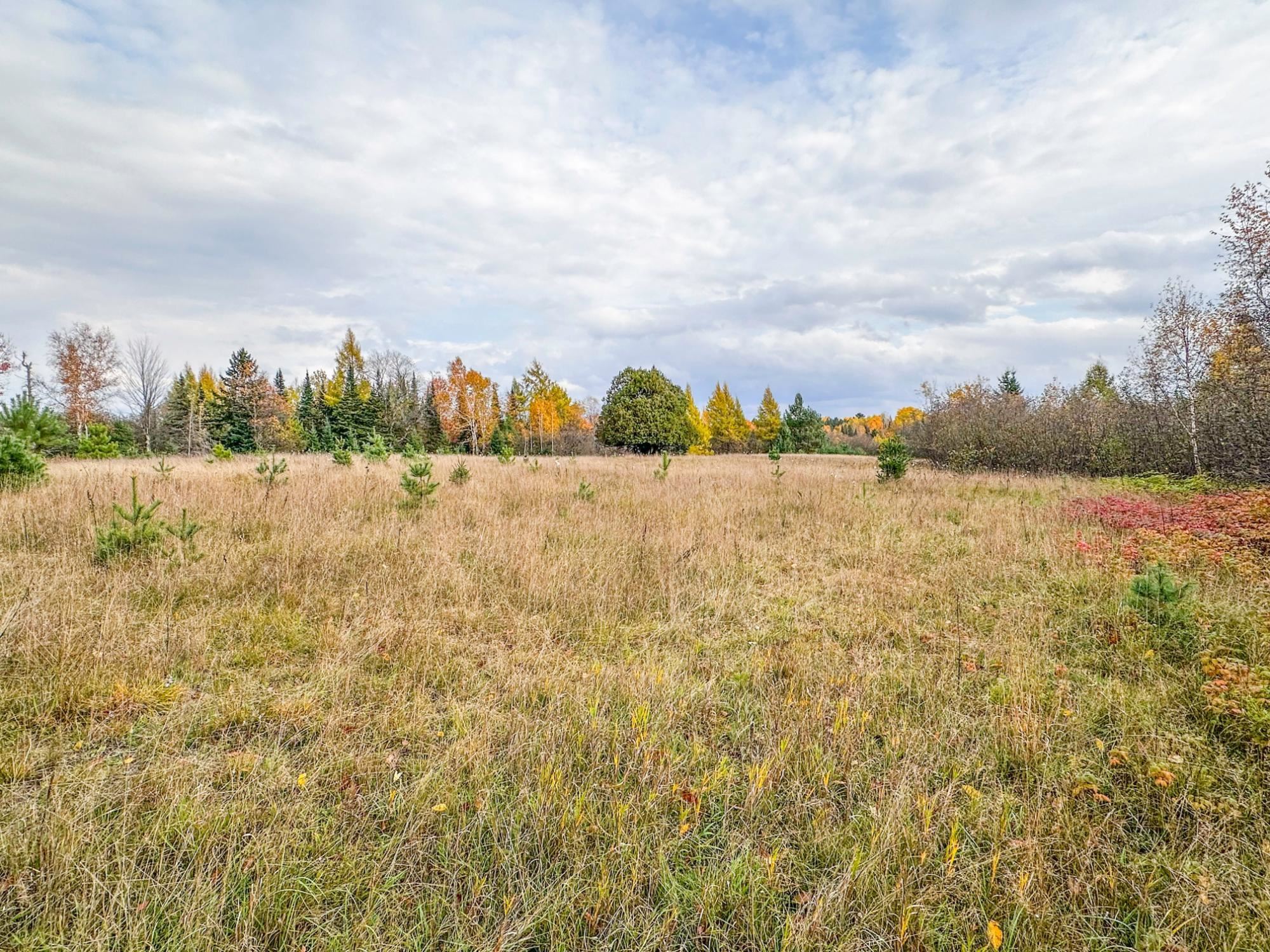 1.36A Darlaks Bay Lane, Phillips, Wisconsin 54555, ,Land,For Sale,1.36A Darlaks Bay Lane,22505274